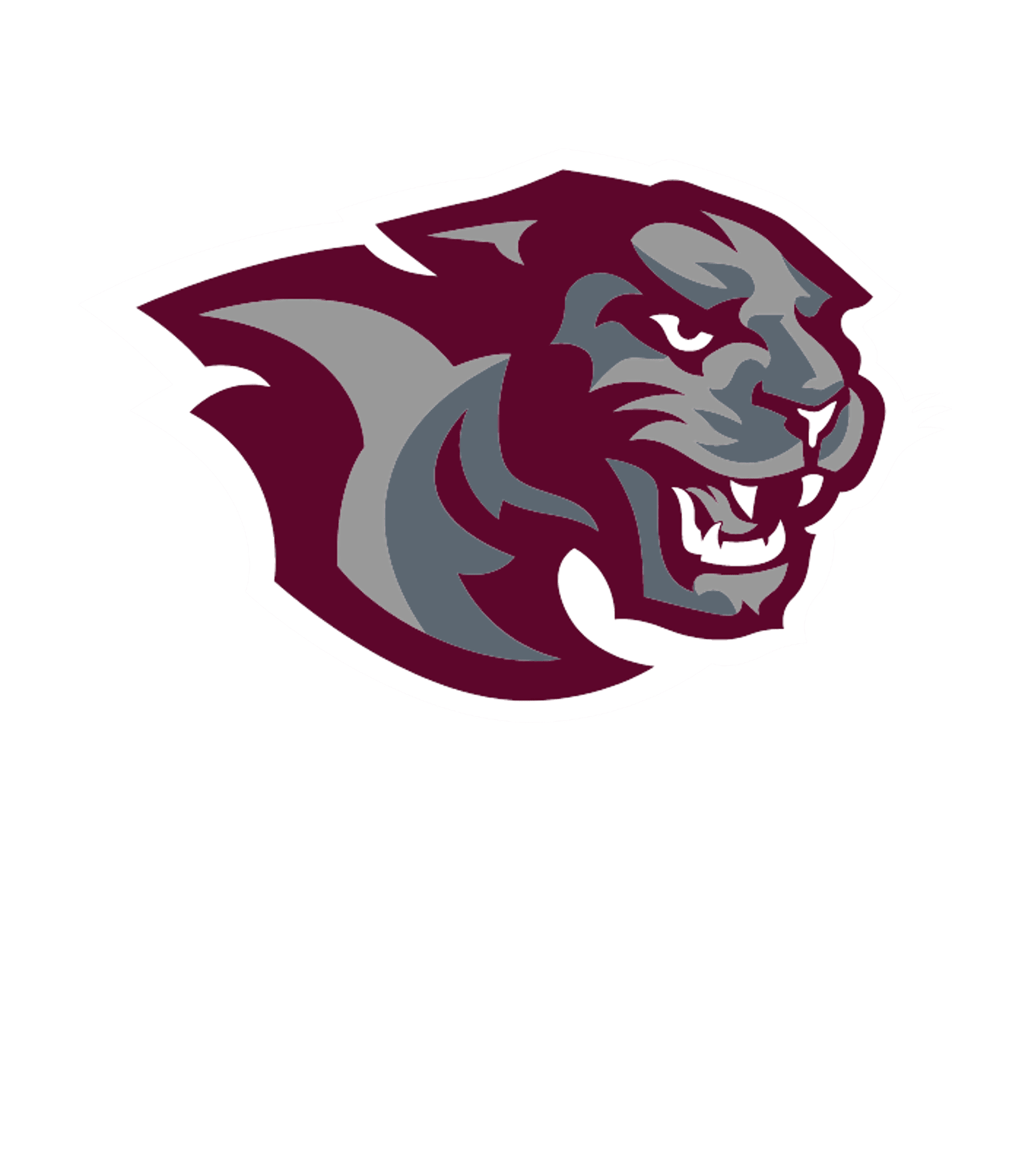 PORTVILLE JUNIOR-SENIOR HIGH SCHOOL Logo