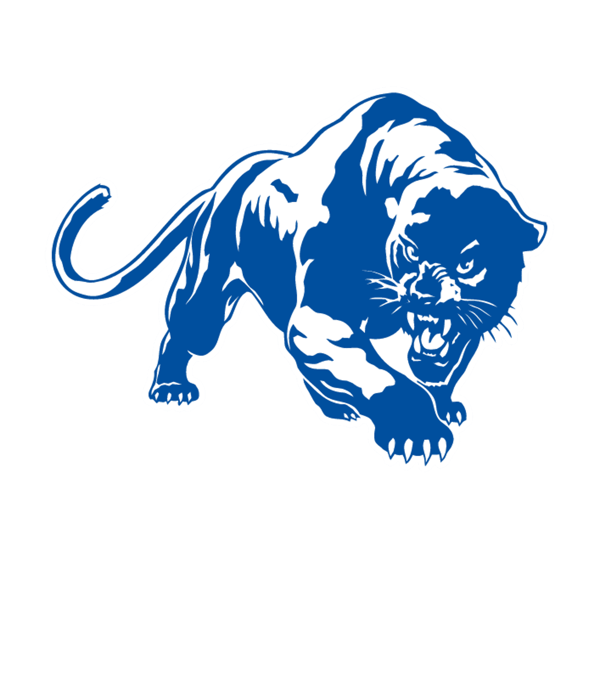 Stryker High School Logo