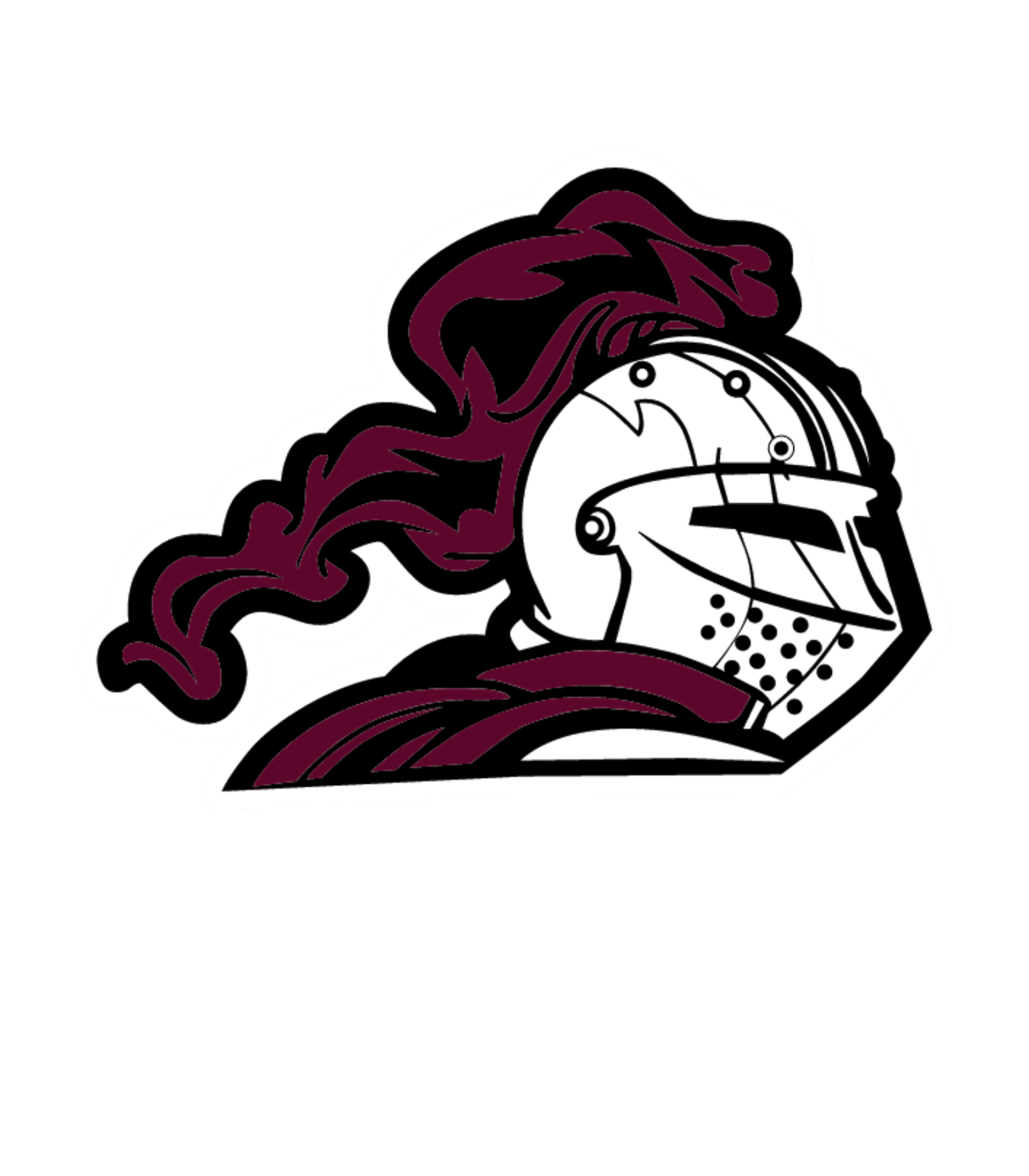 Perspectives Chtr - HS of Tech Logo