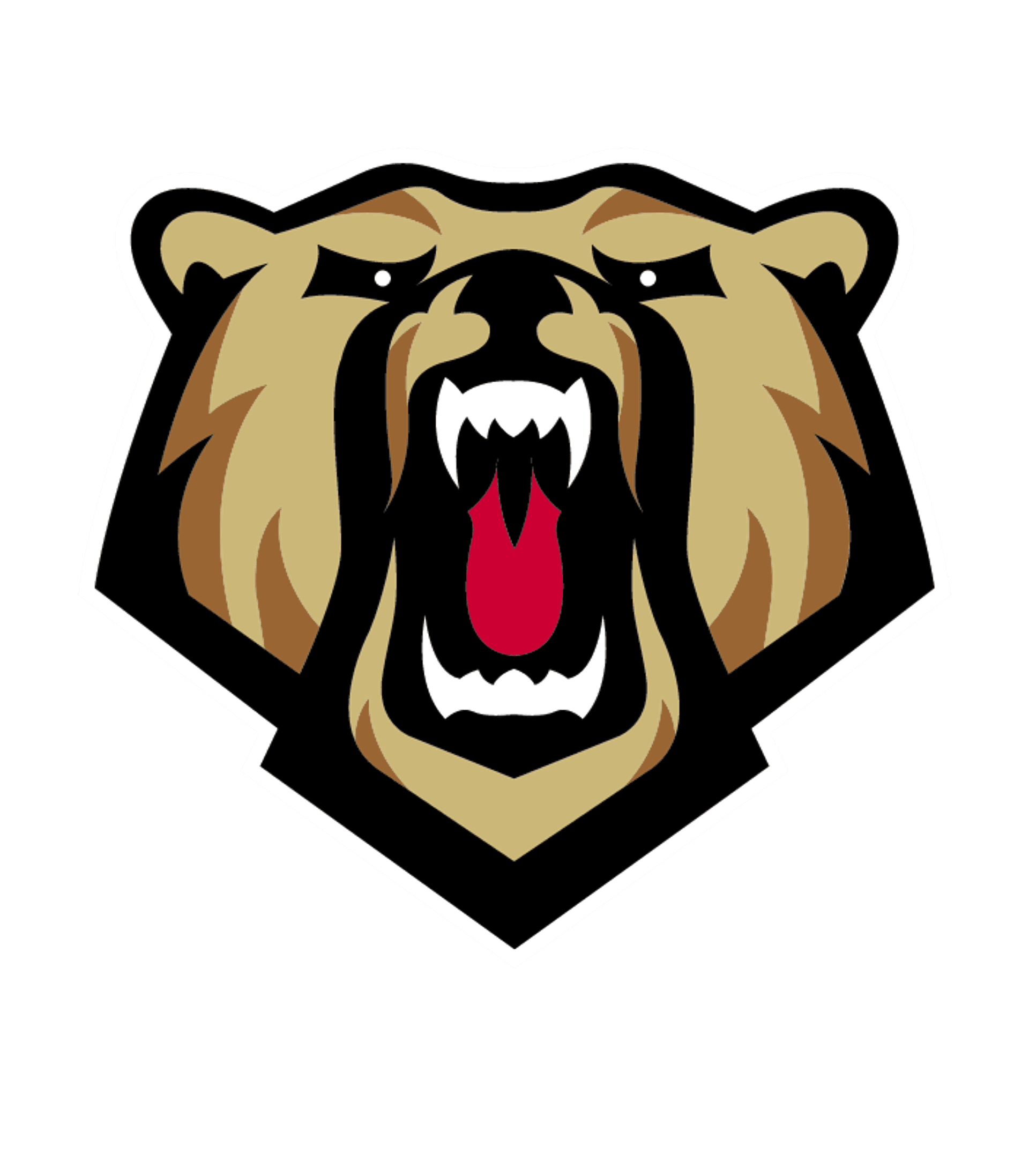 P-TECH Norwalk Logo