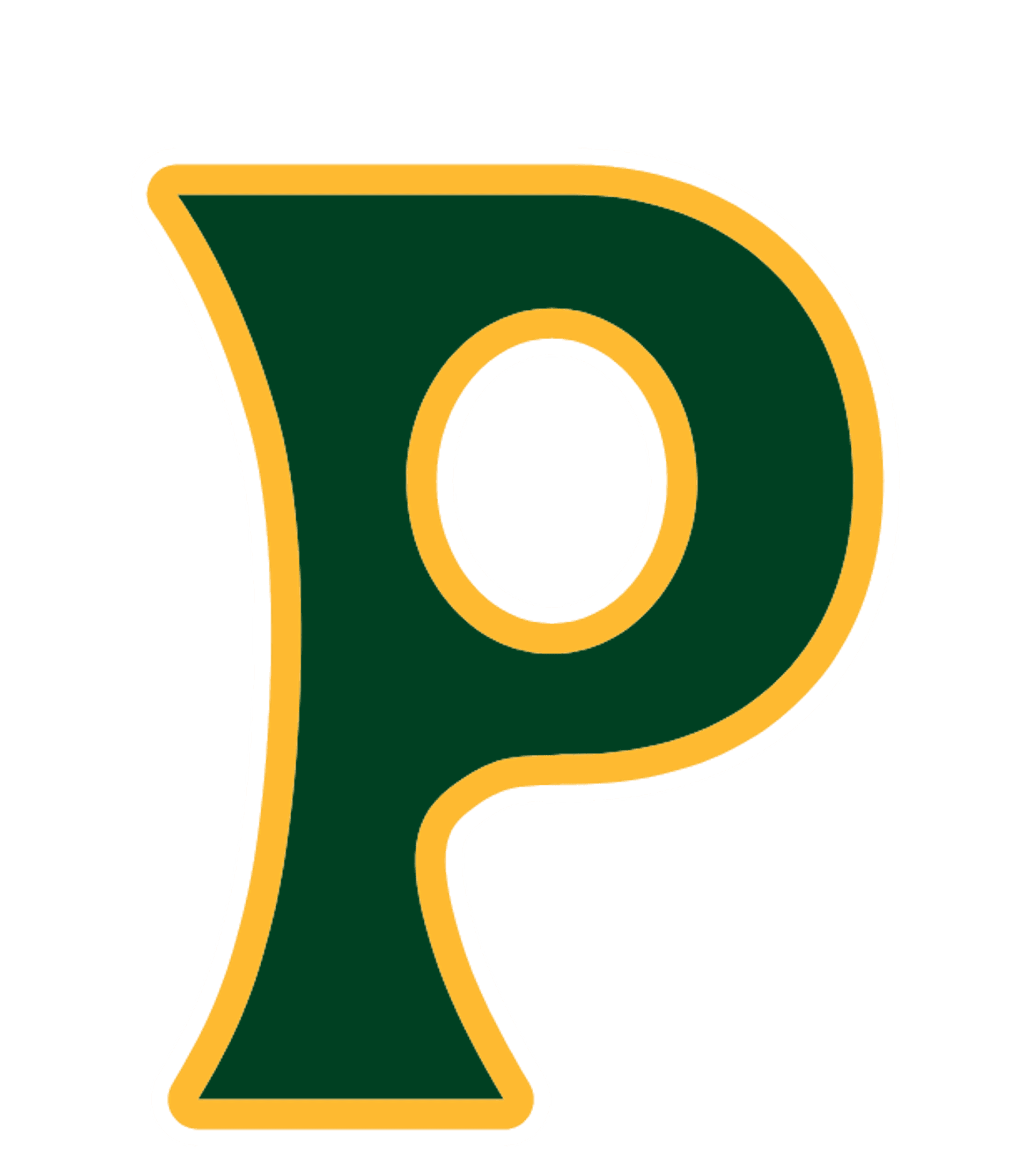PAMPA H S Logo