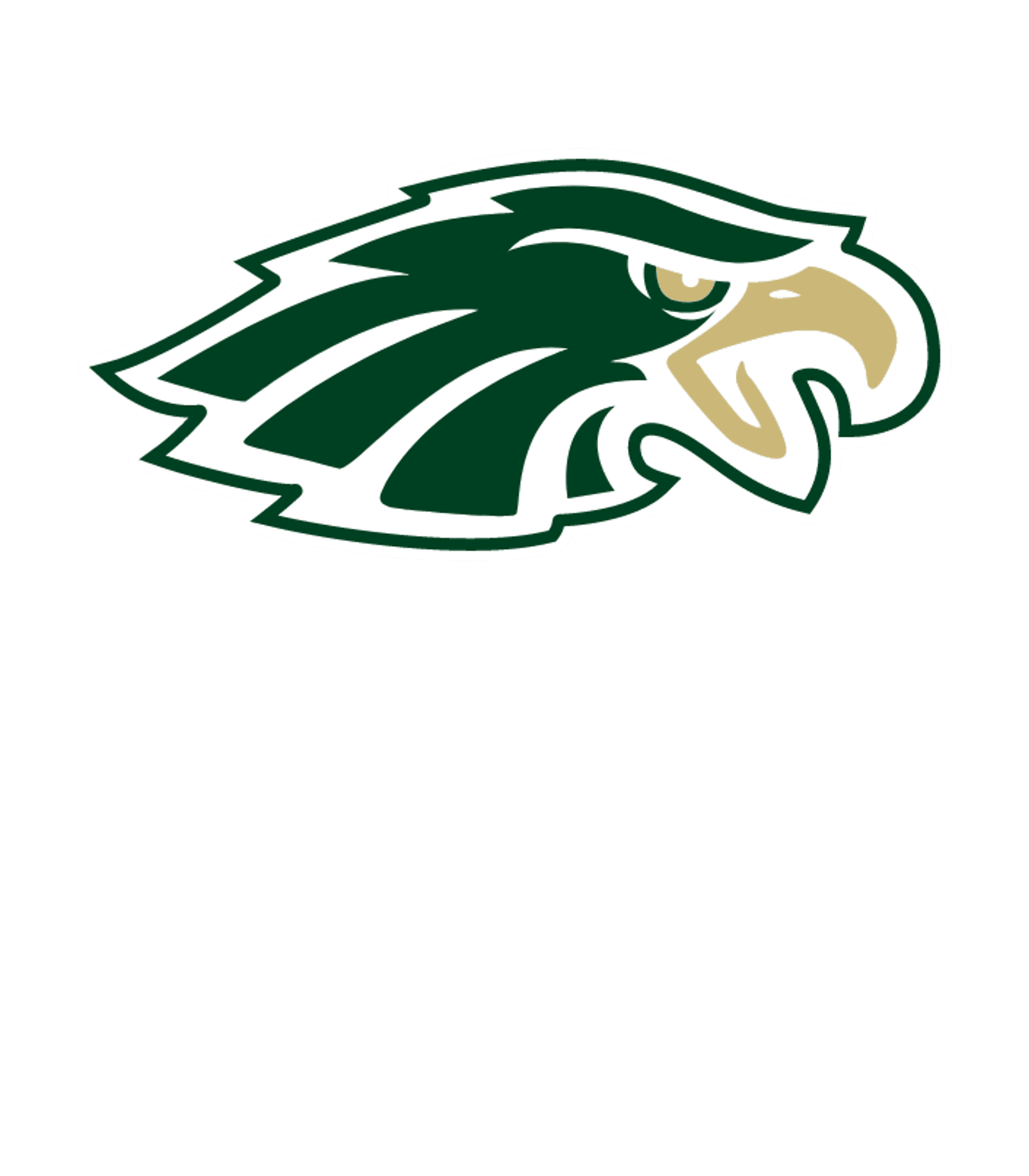 Racine Youthful Offender Warren Young High Logo