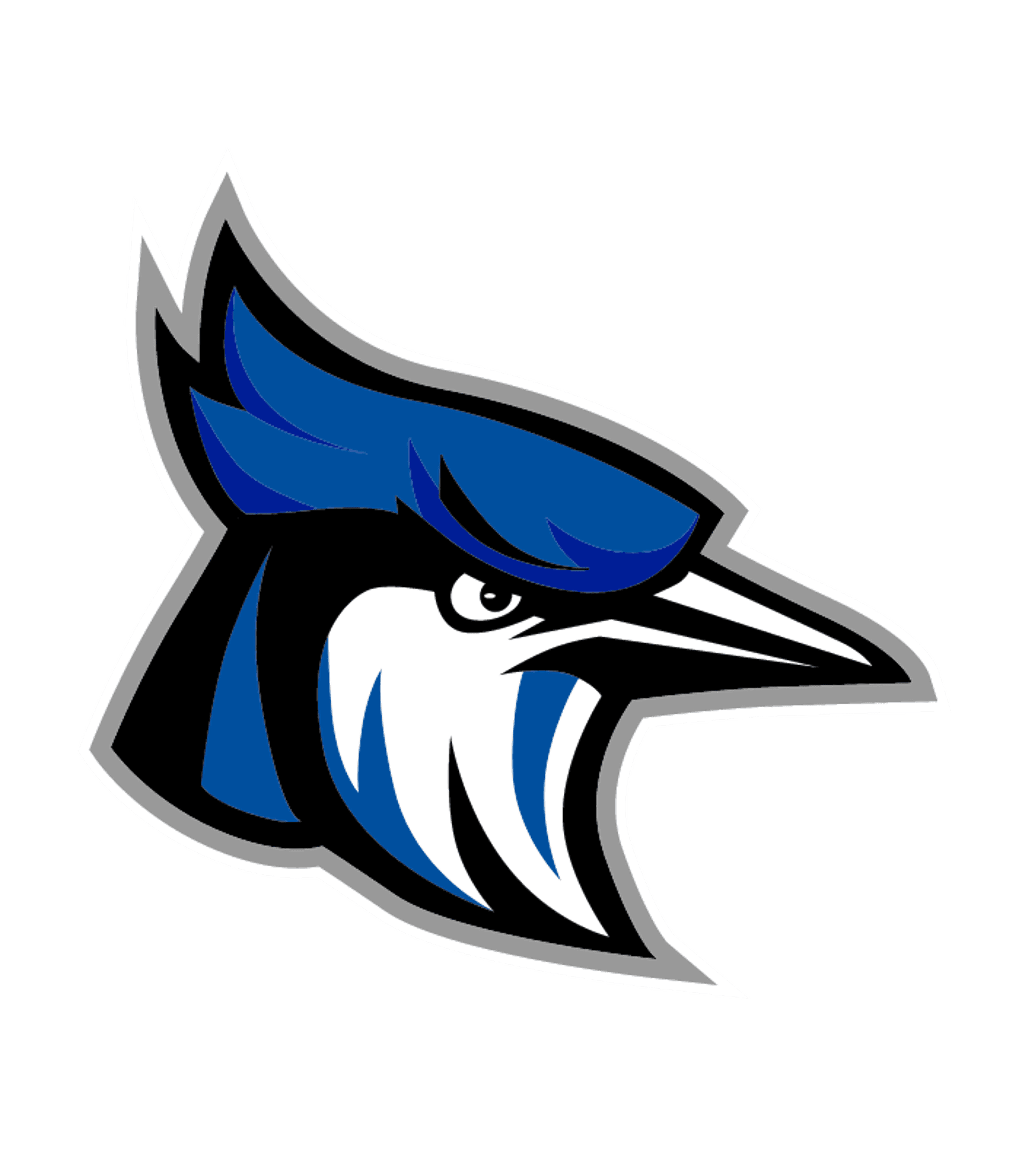 RAYTOWN SR. HIGH Logo