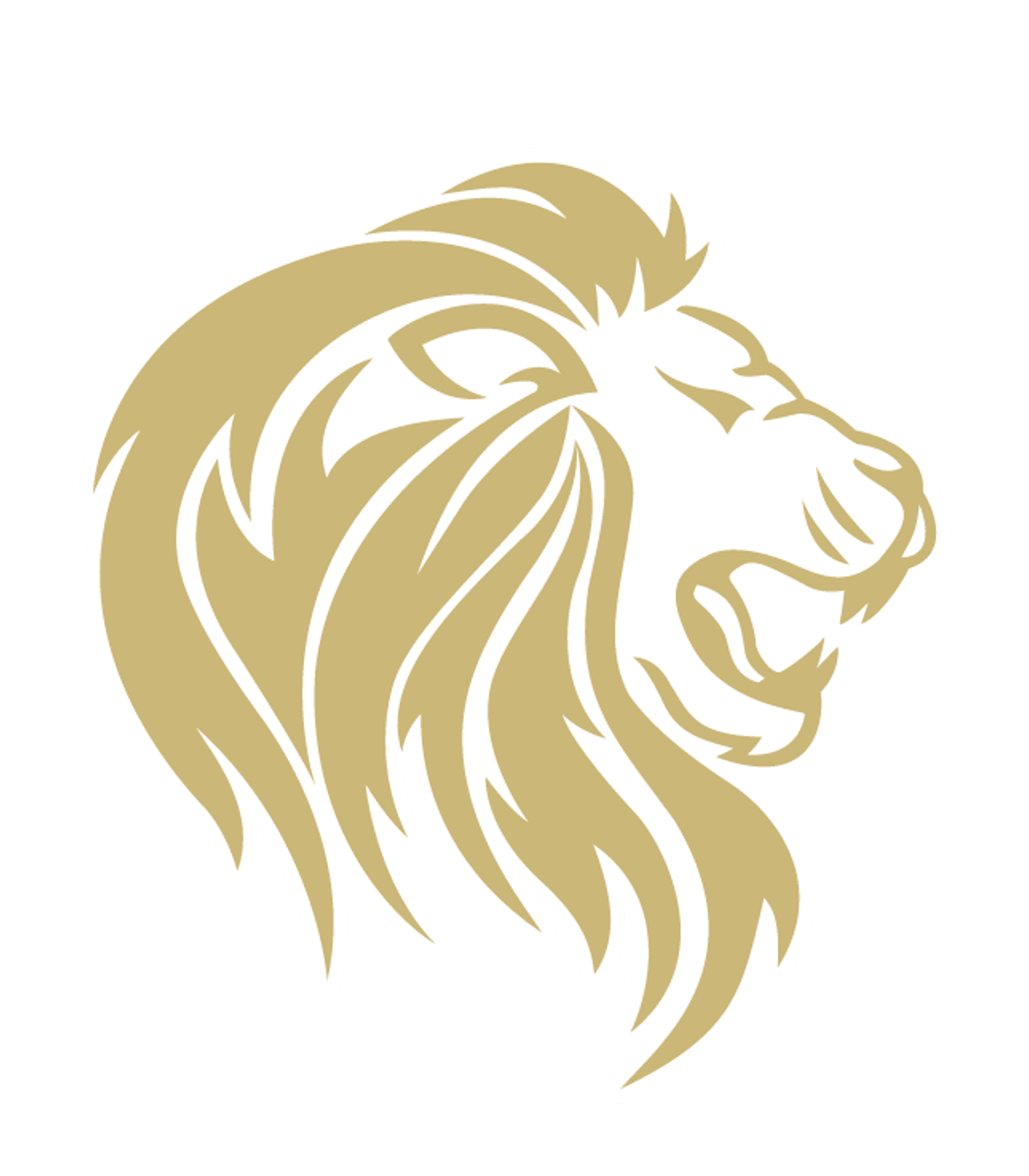 PCJTED - Ironwood Ridge High School Logo