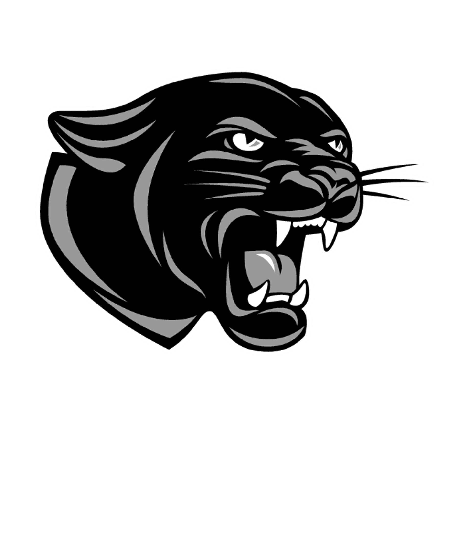 PERMIAN H S Logo