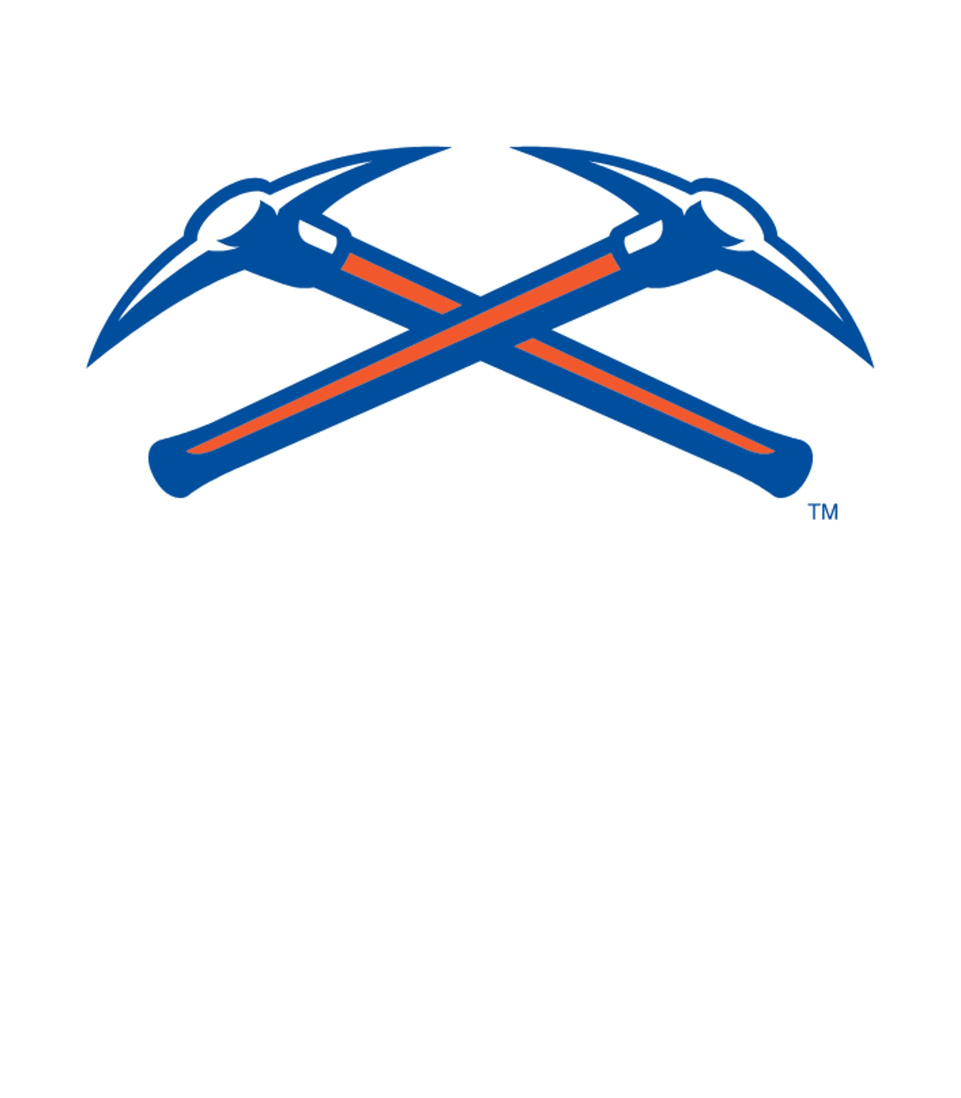 Platteville High Logo