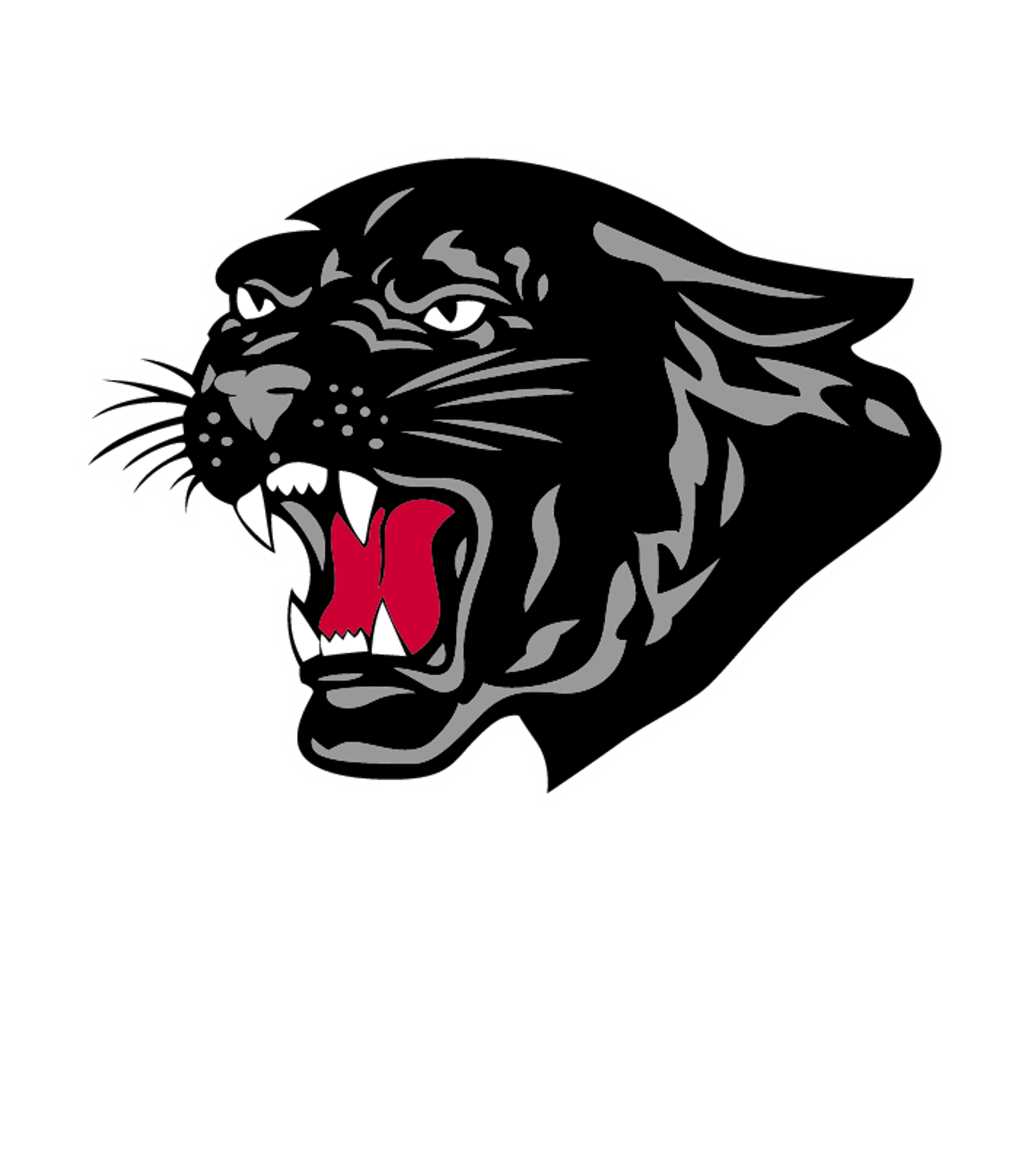 Saucon Valley SHS Logo