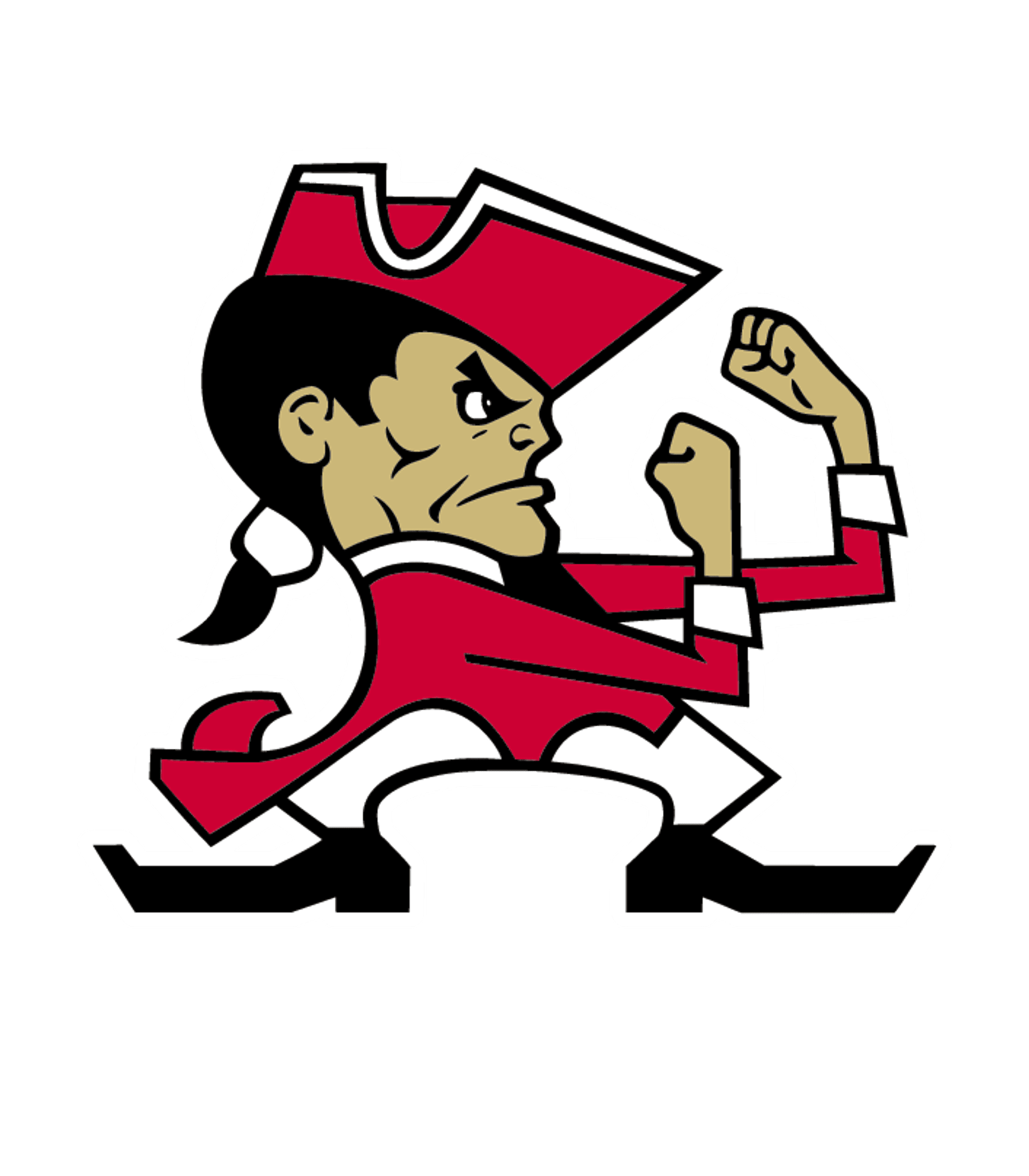 Pulaski High Logo
