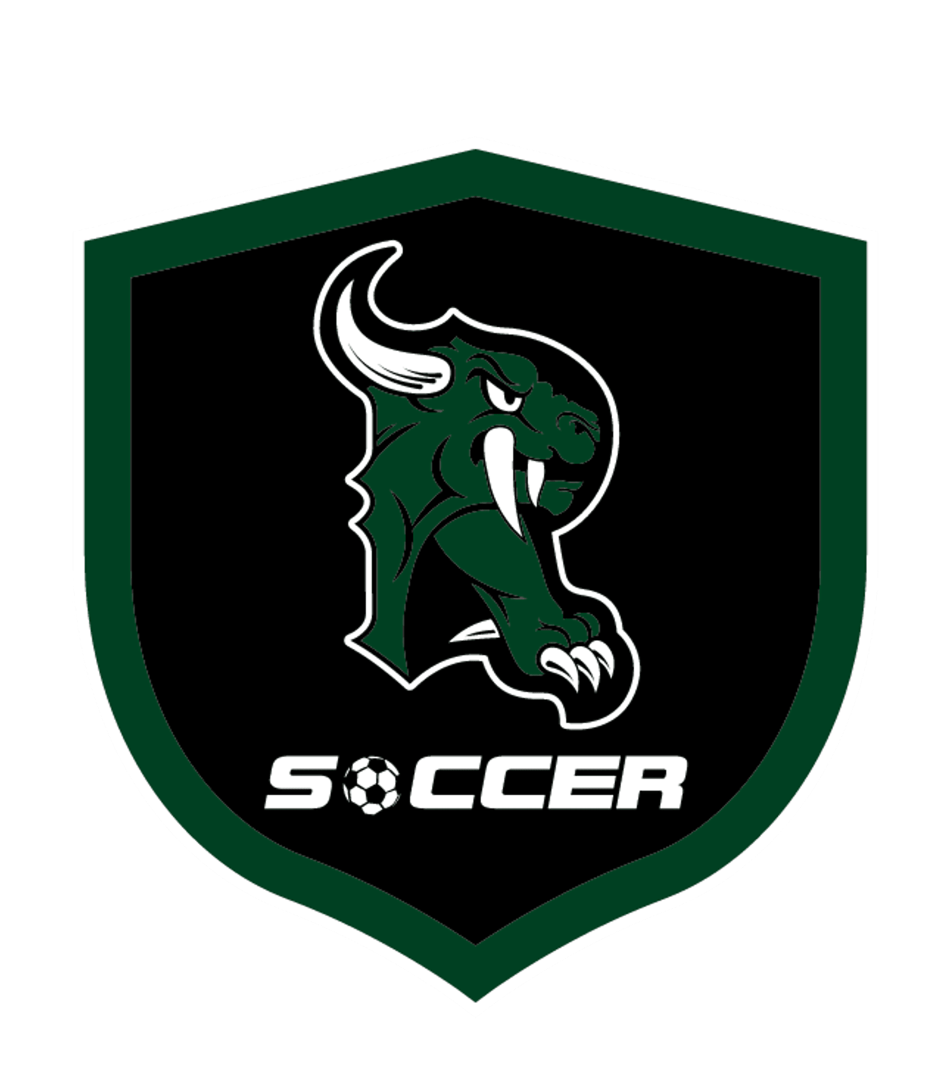 Rhinelander High Logo