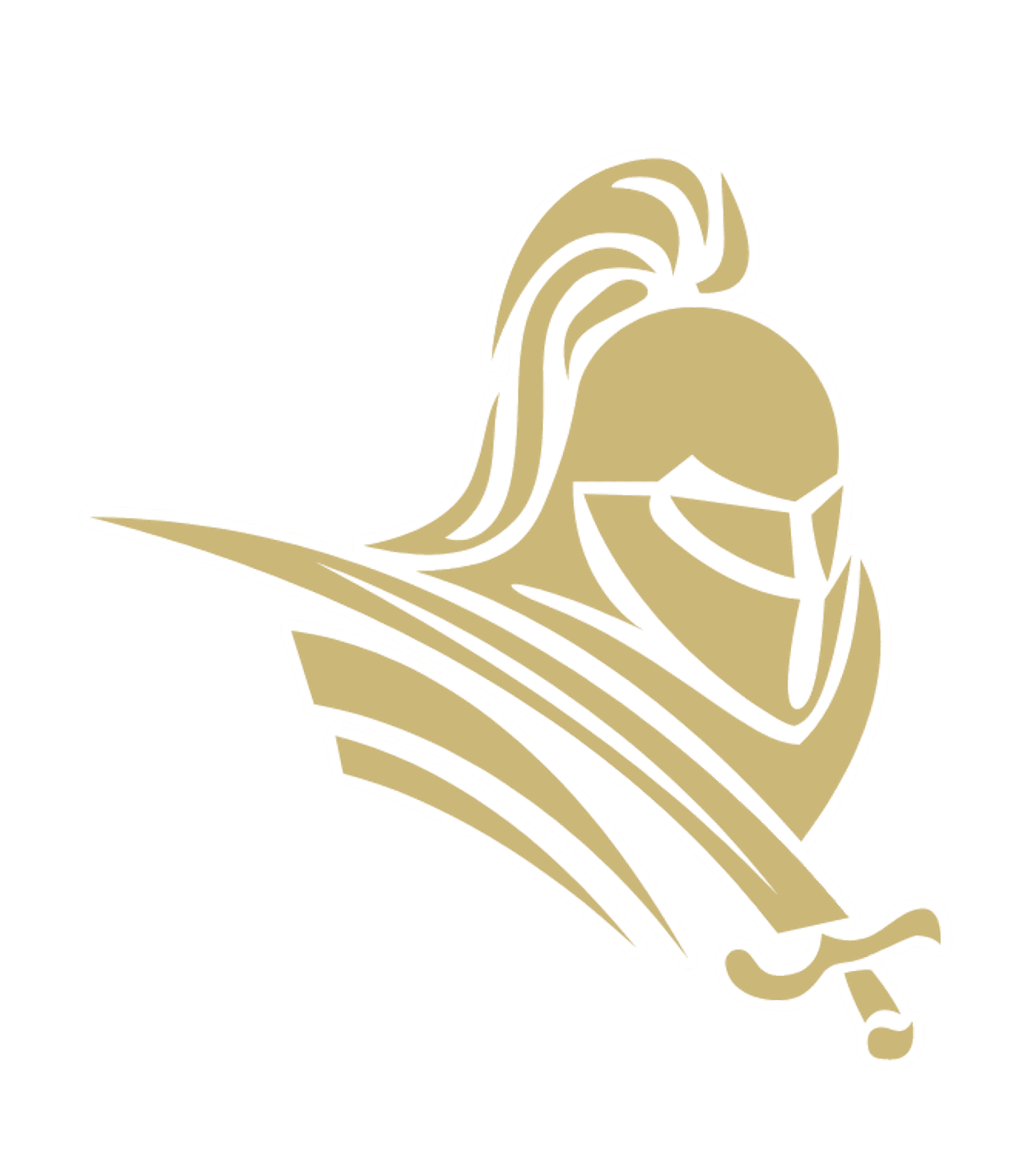 PITTSFORD-MENDON HIGH SCHOOL Logo