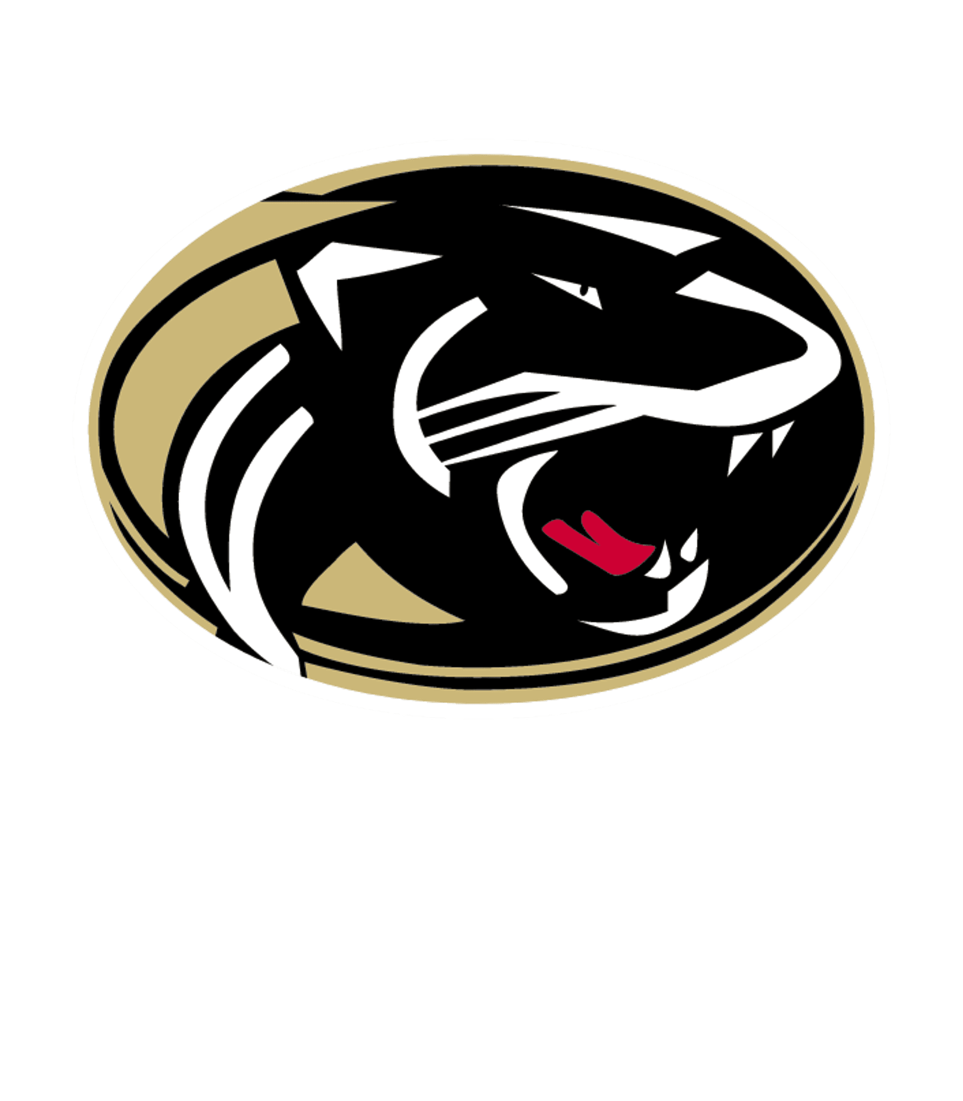 RAYMORE-PECULIAR SR. HIGH Logo