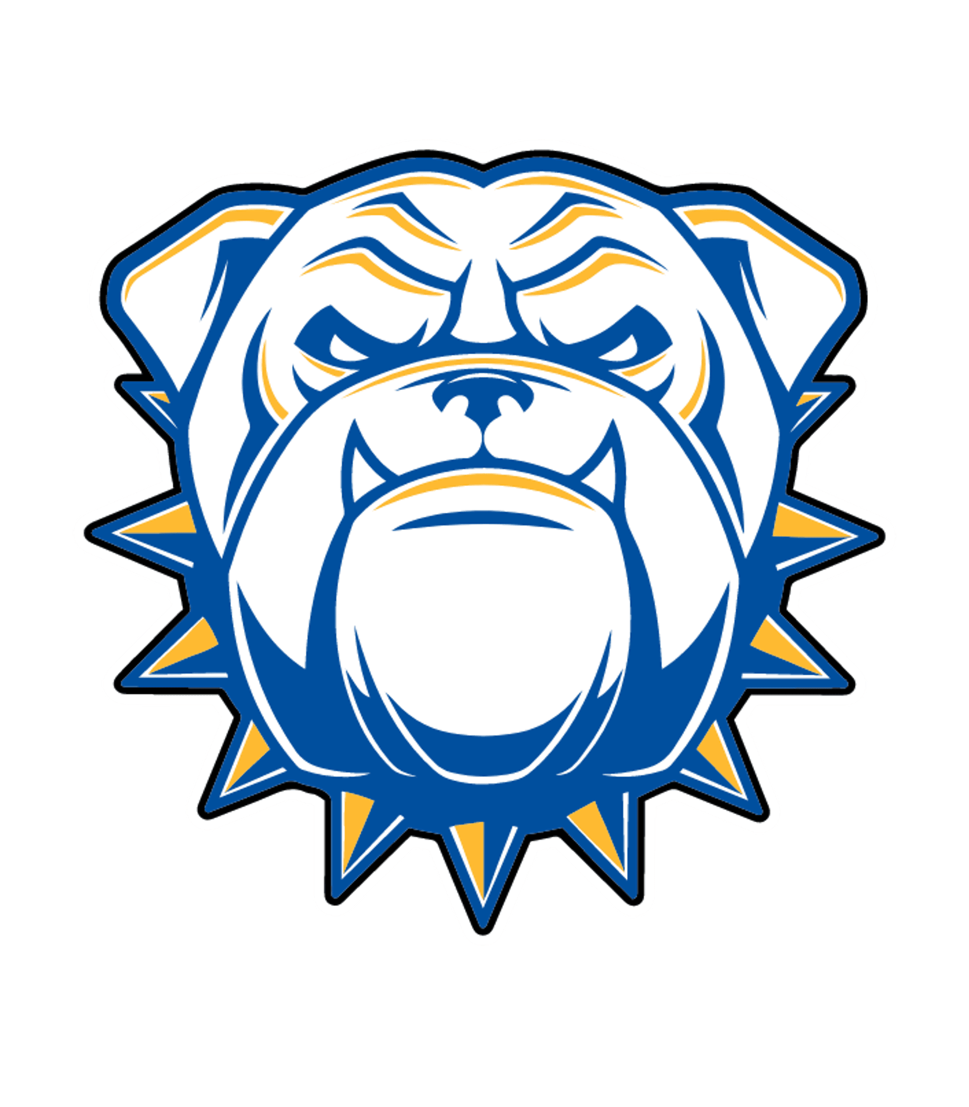RIRIE JR/SR HIGH SCHOOL Logo