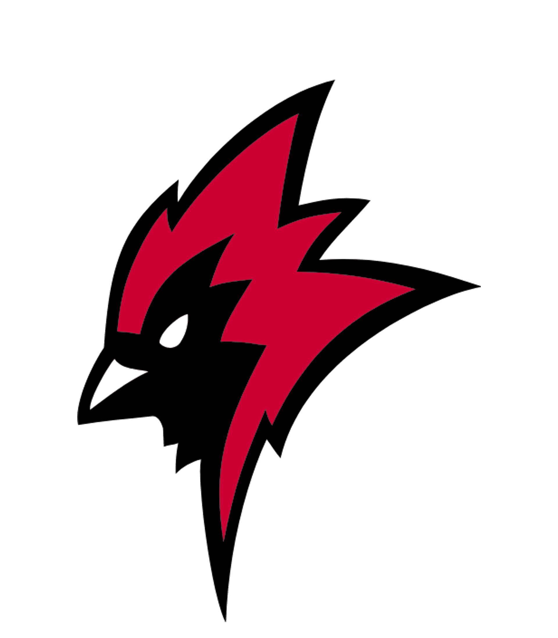 RED JACKET HIGH SCHOOL Logo