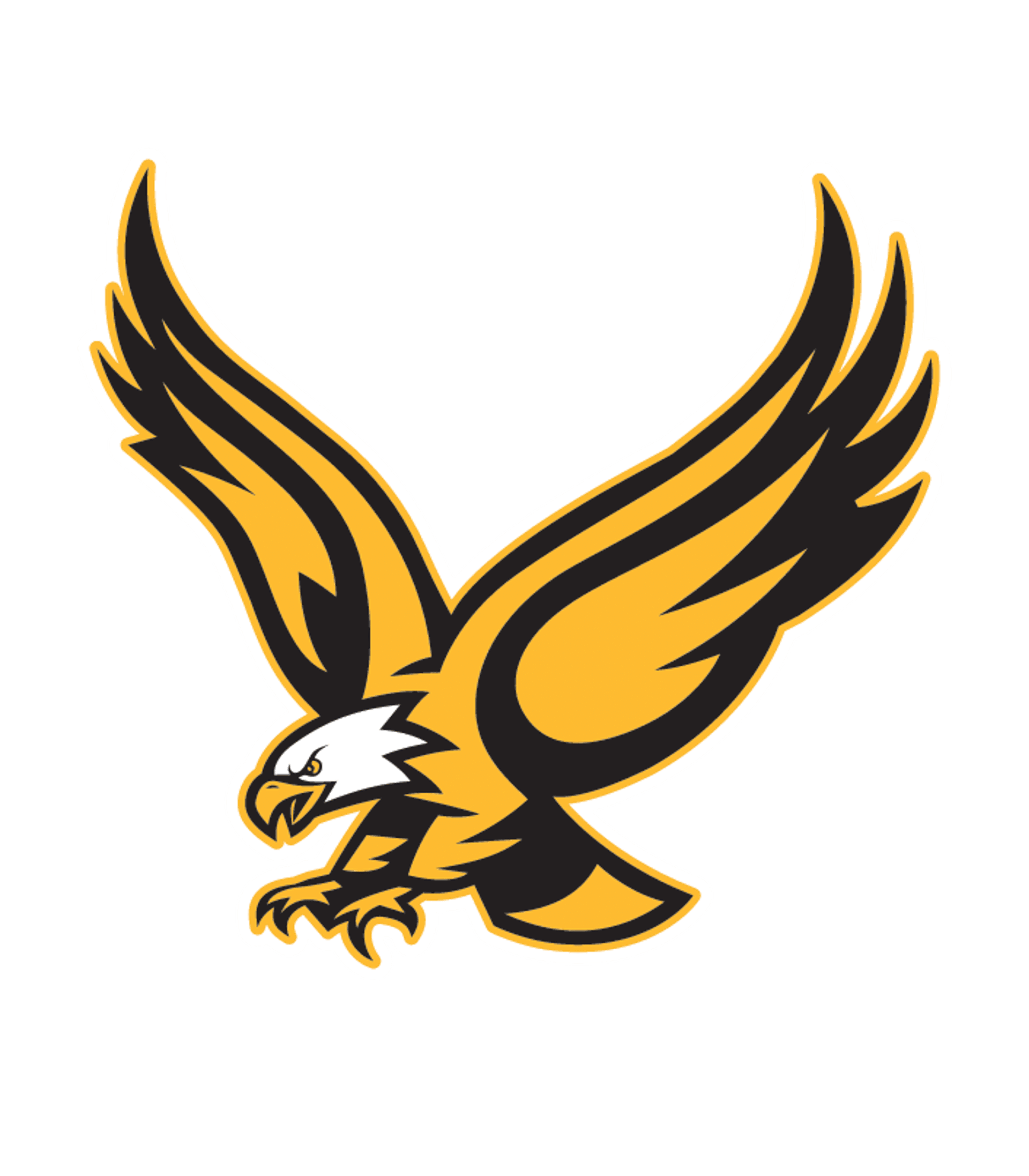 VIENNA HIGH Logo