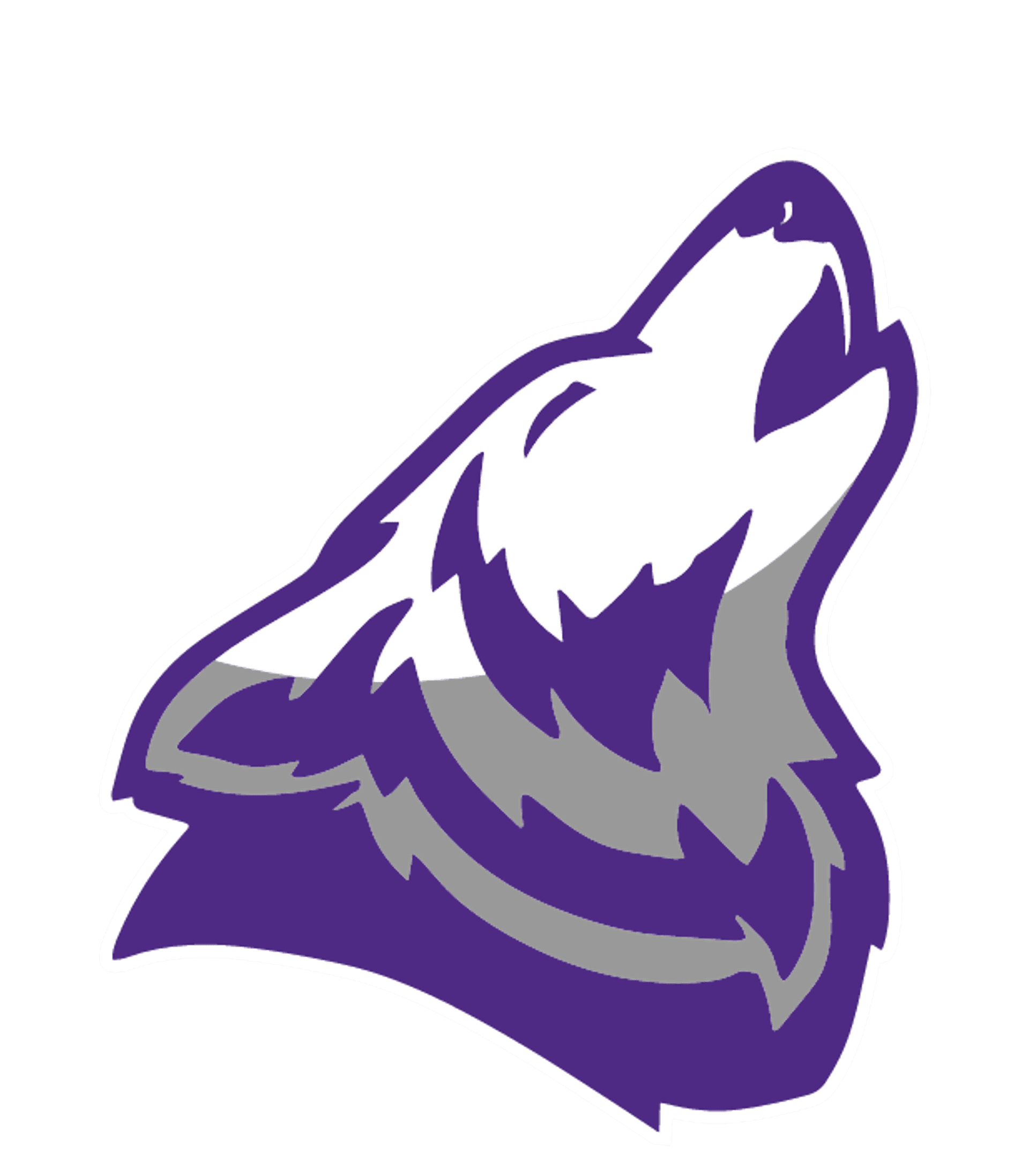 STEDY- Vista HS Satellite Logo