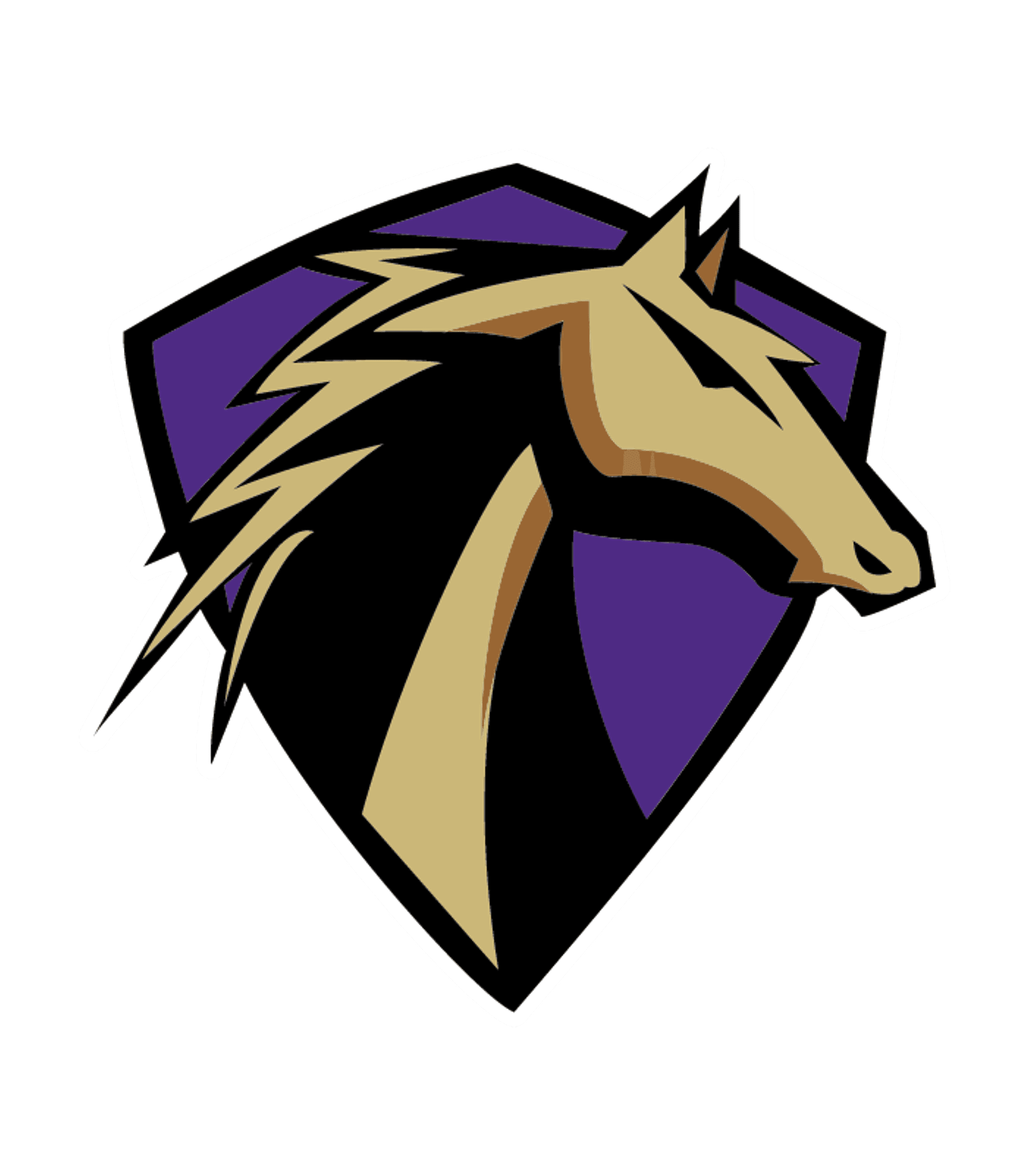 Vasquez High Logo