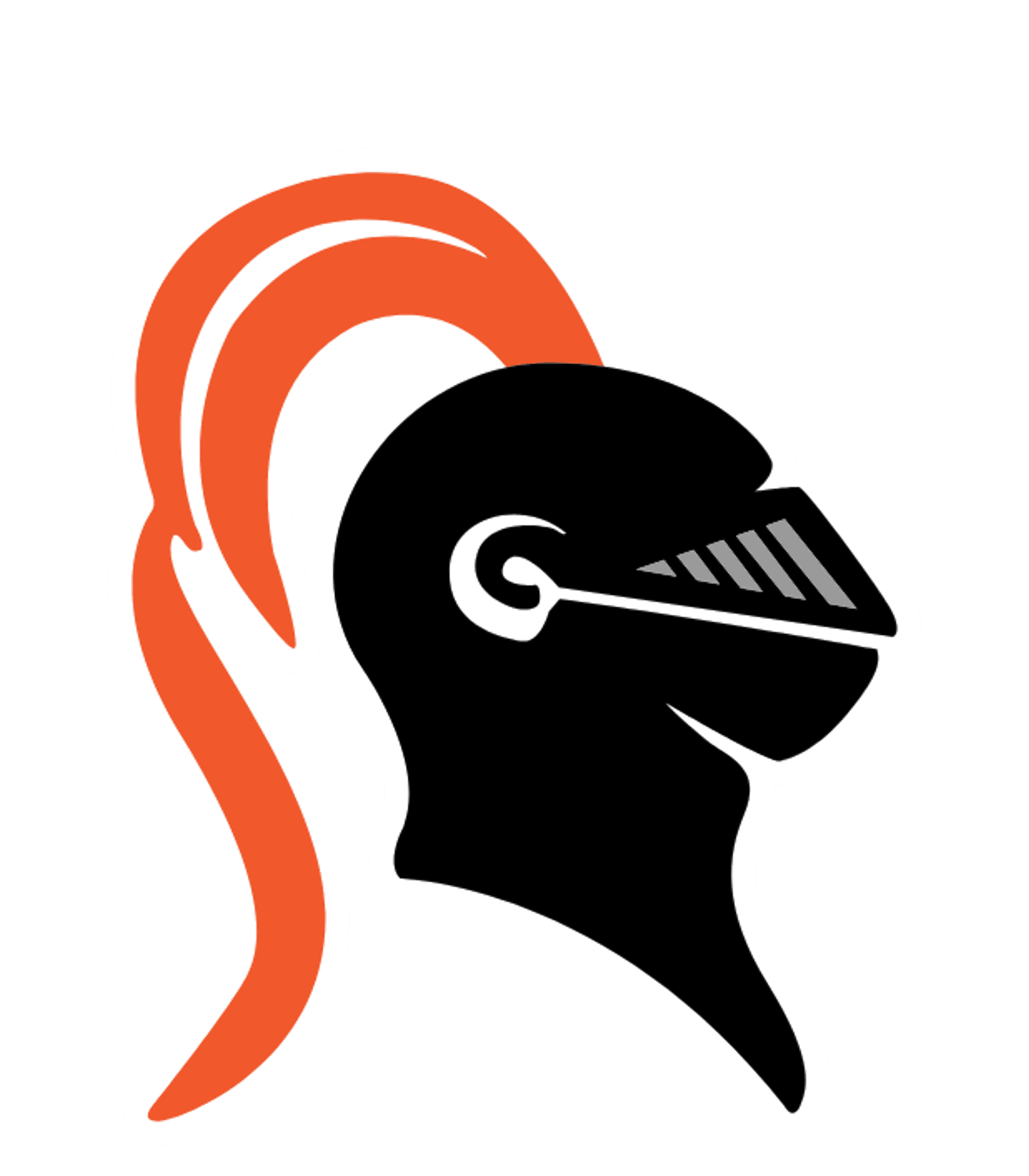 Stamford High School Logo
