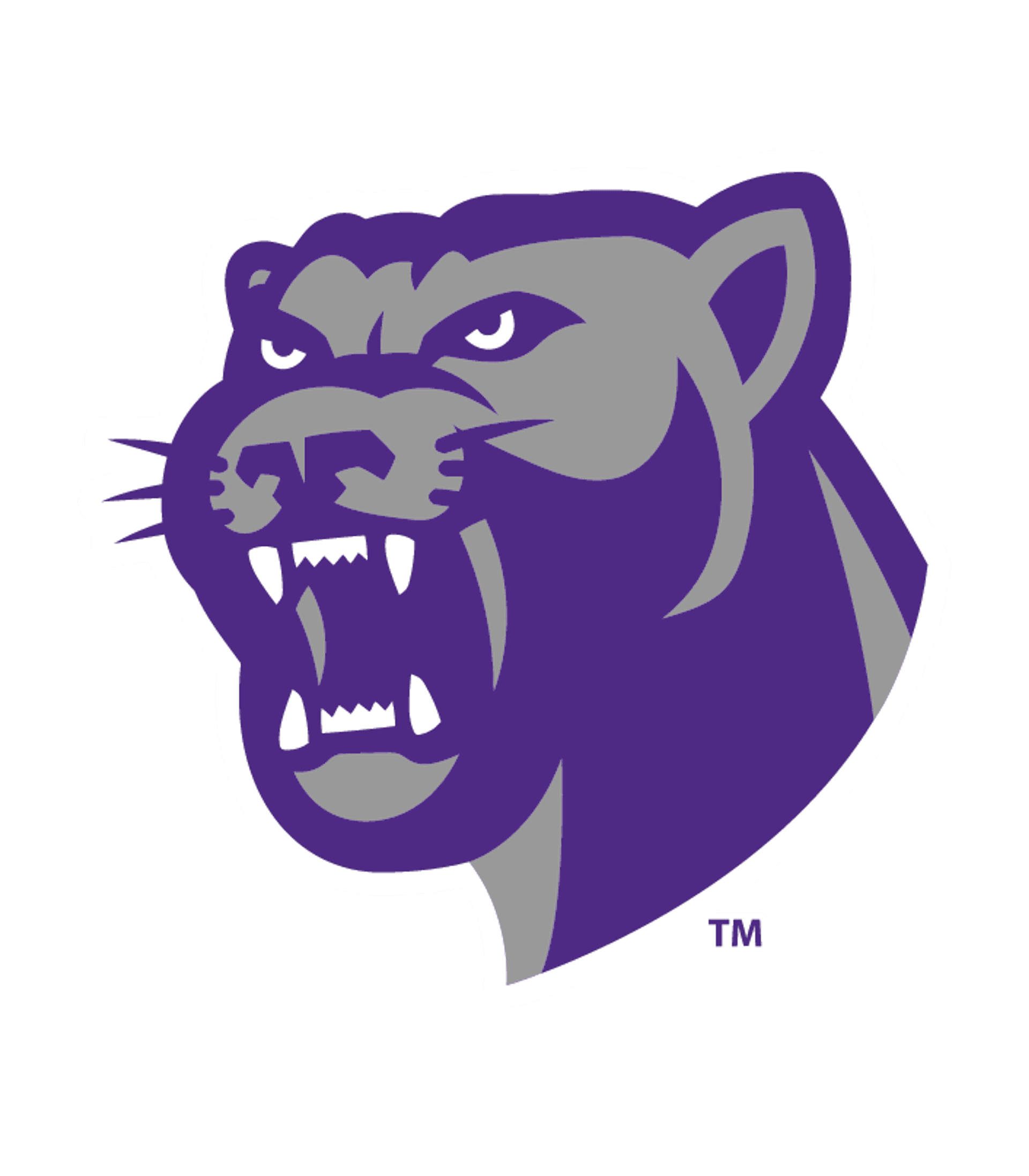 Walsenburg Jr. Sr. High School Logo