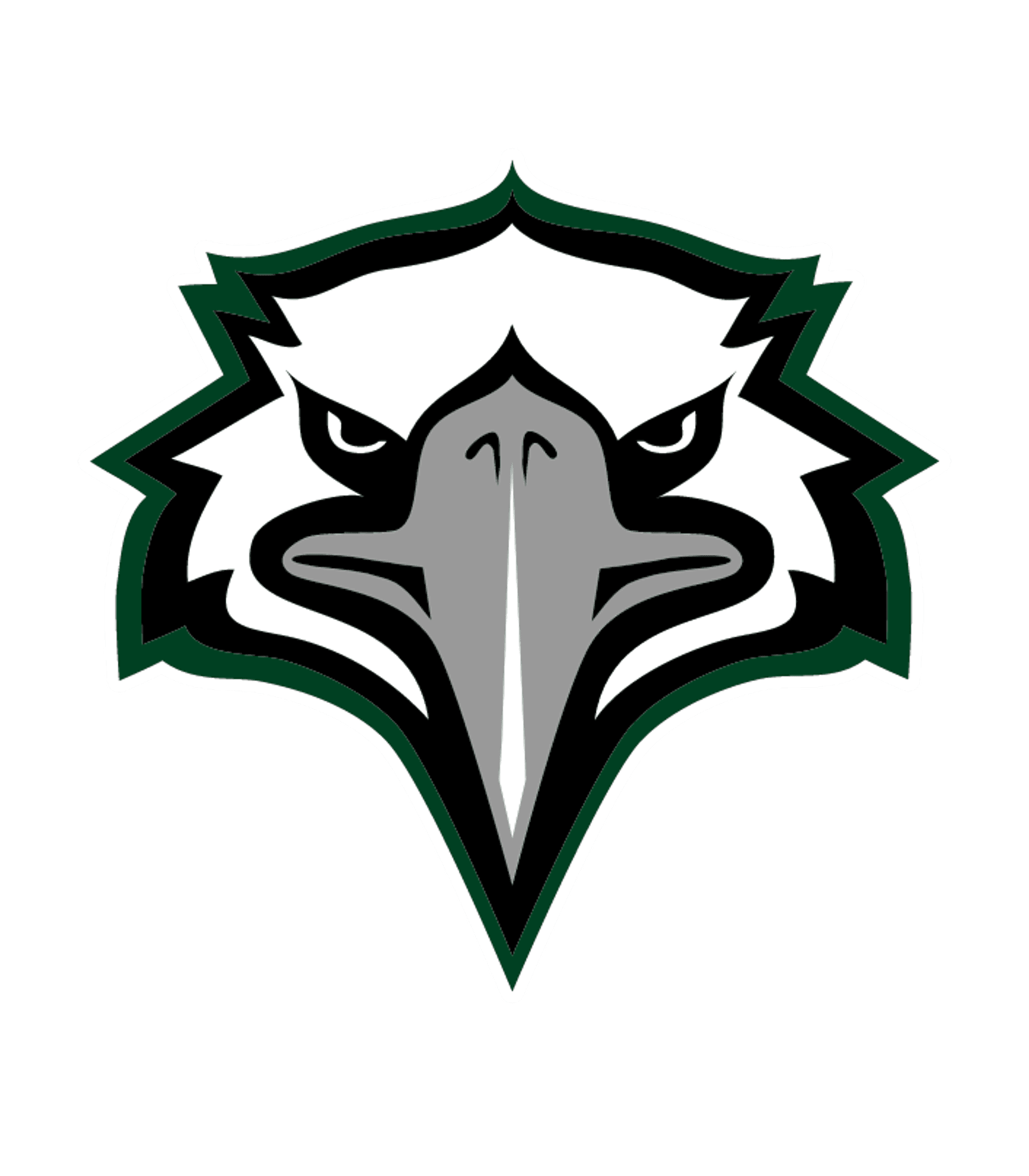 Ronald E. McNair High Logo