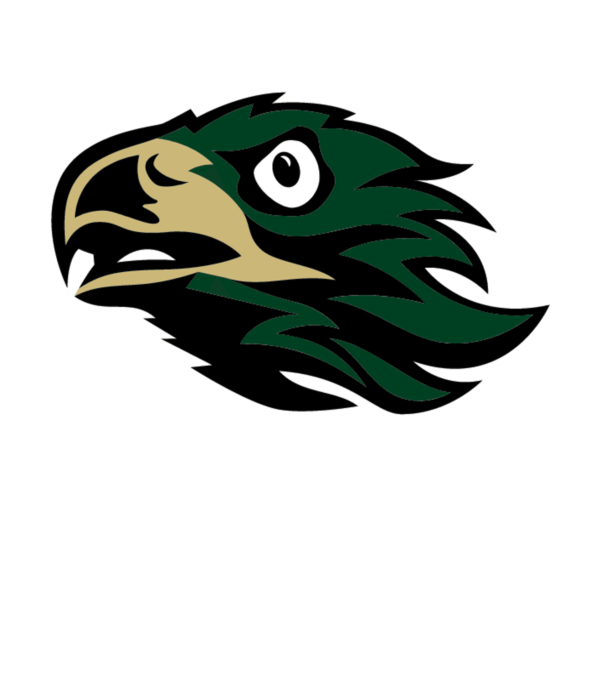 RIVIERA BEACH PREPARATORY & ACHIEVEMENT ACADEMY Logo
