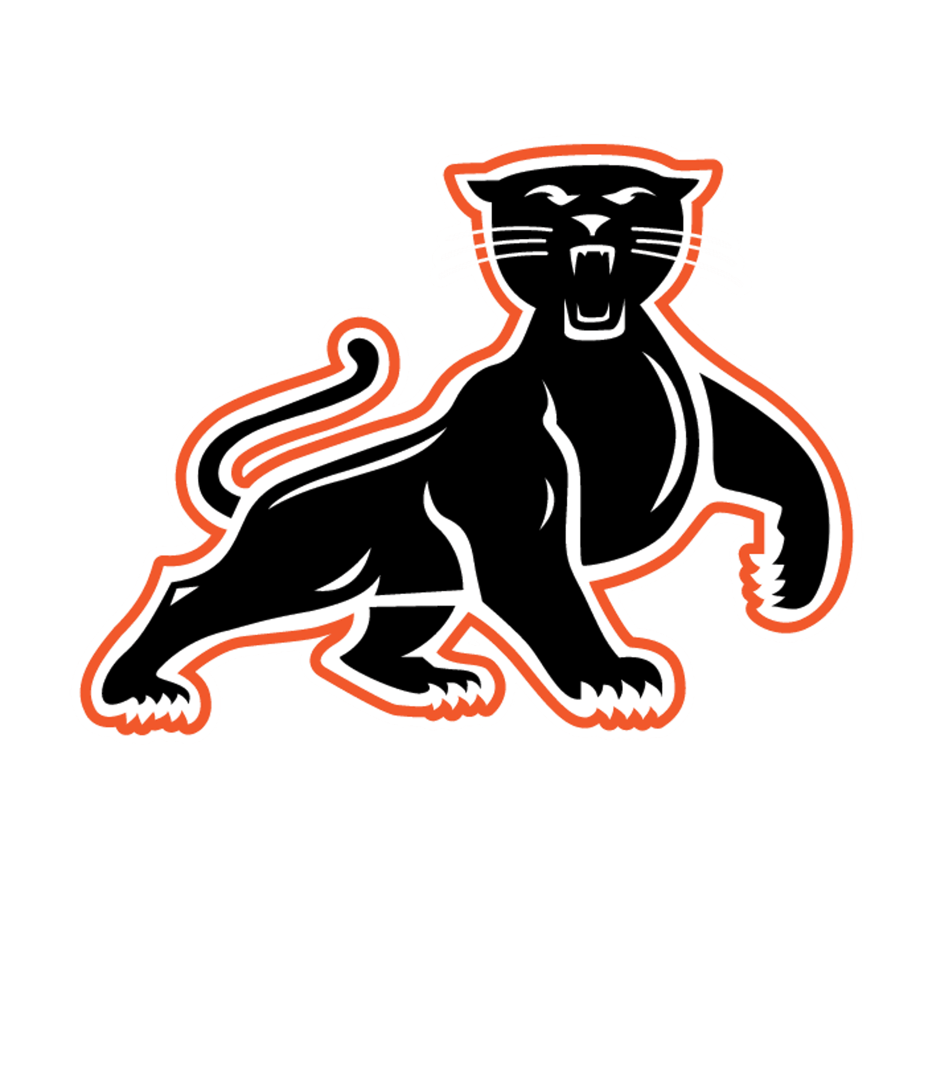 Reedsville Jr/Sr High School Logo
