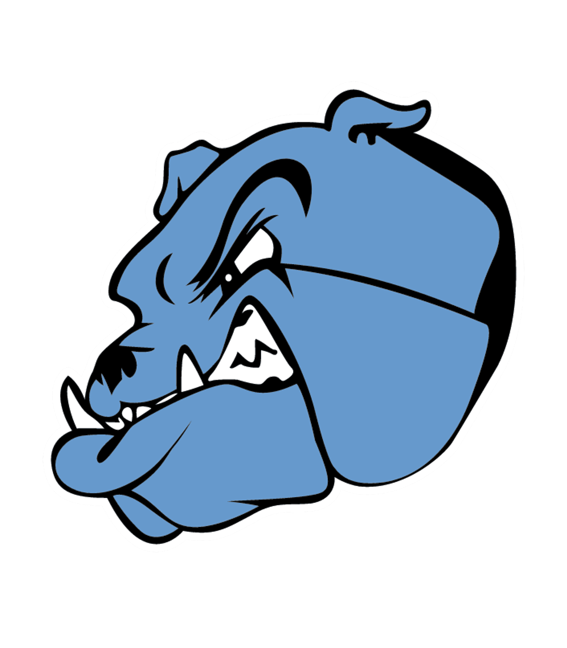 The Bridgeport School District - High School Logo