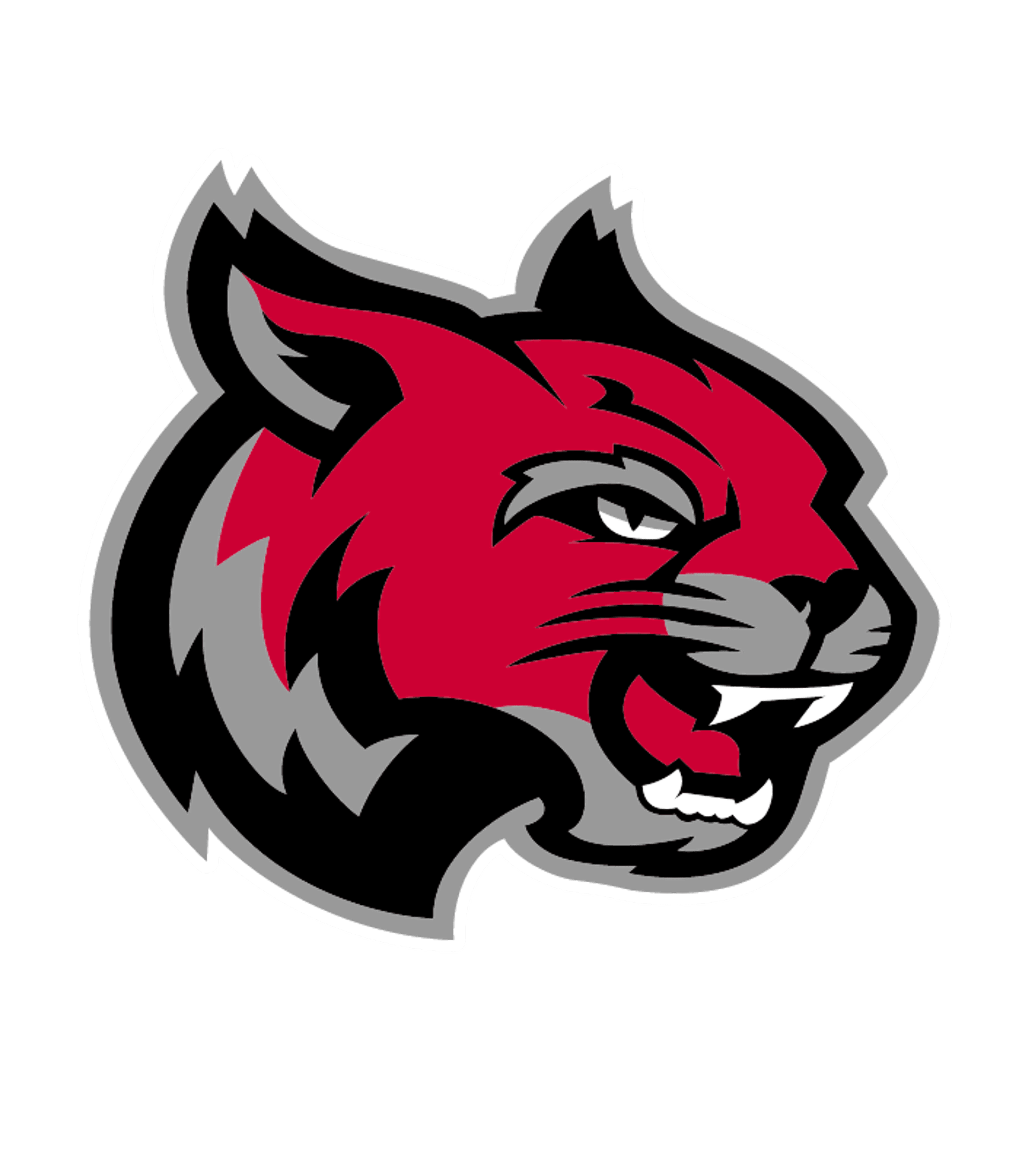 SUPERIOR SR HIGH SCHOOL Logo