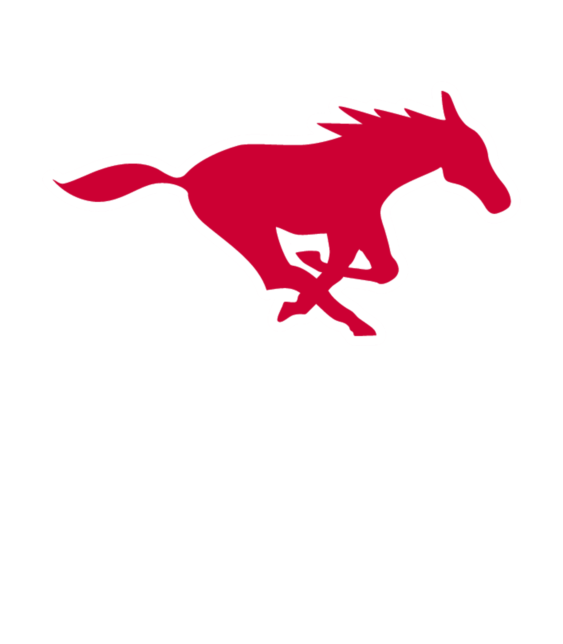 STRAYHORN HIGH SCHOOL Logo