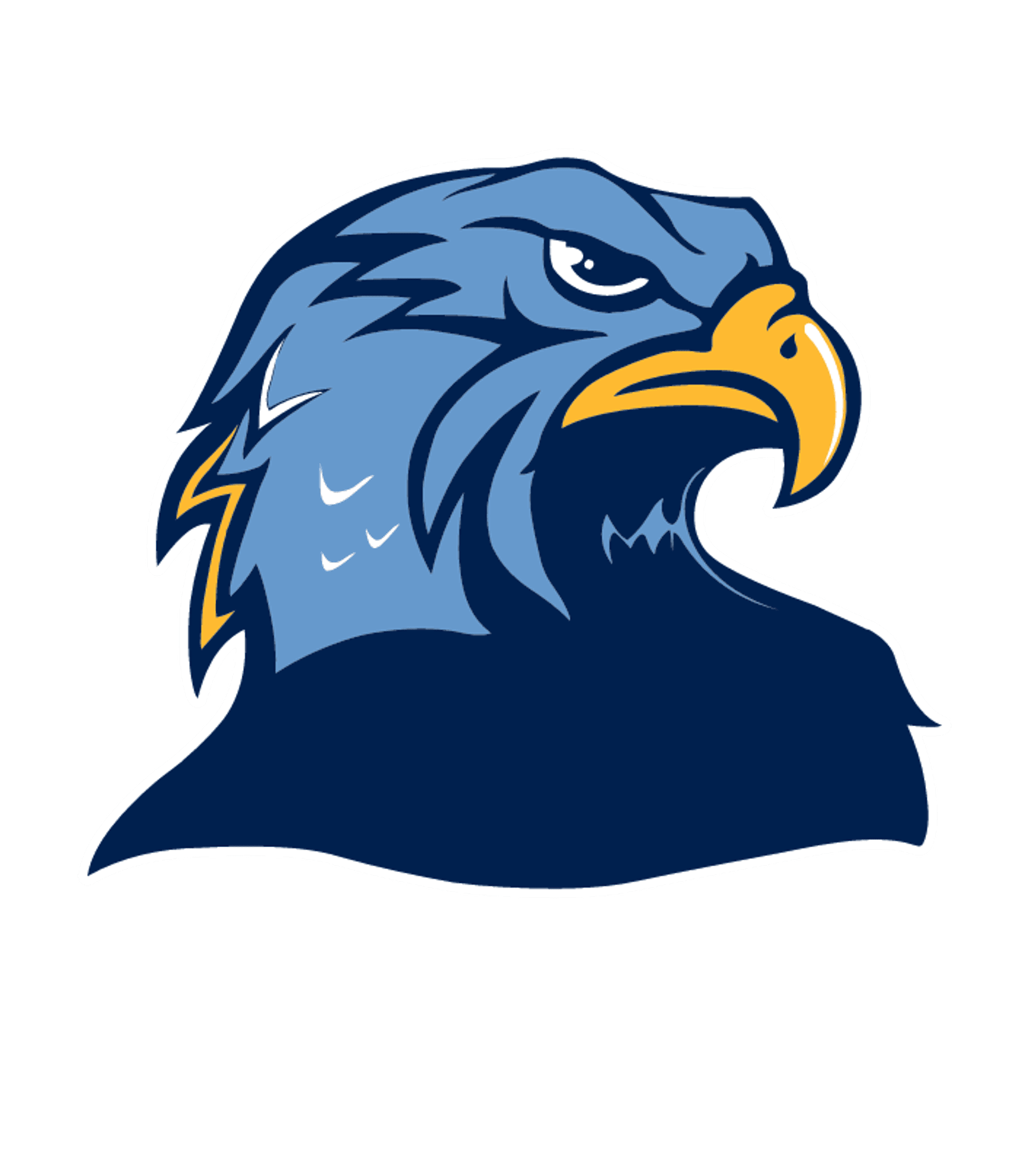 River Hill High Logo