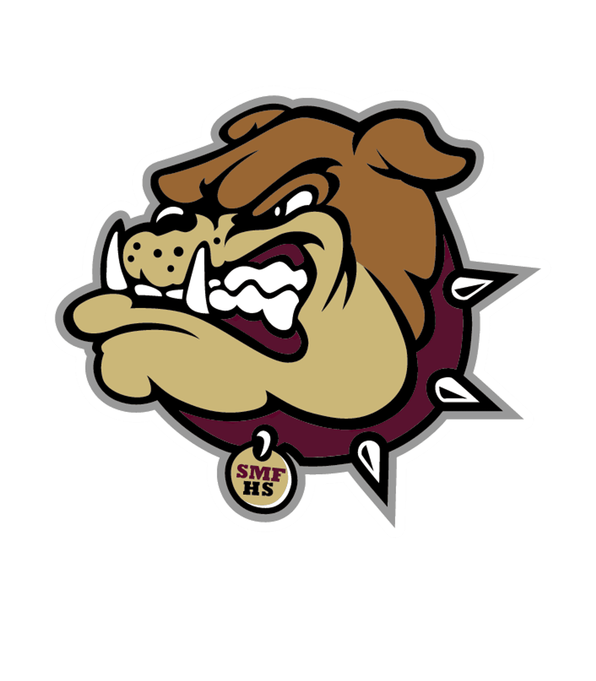 Stow-Munroe Falls High School Logo