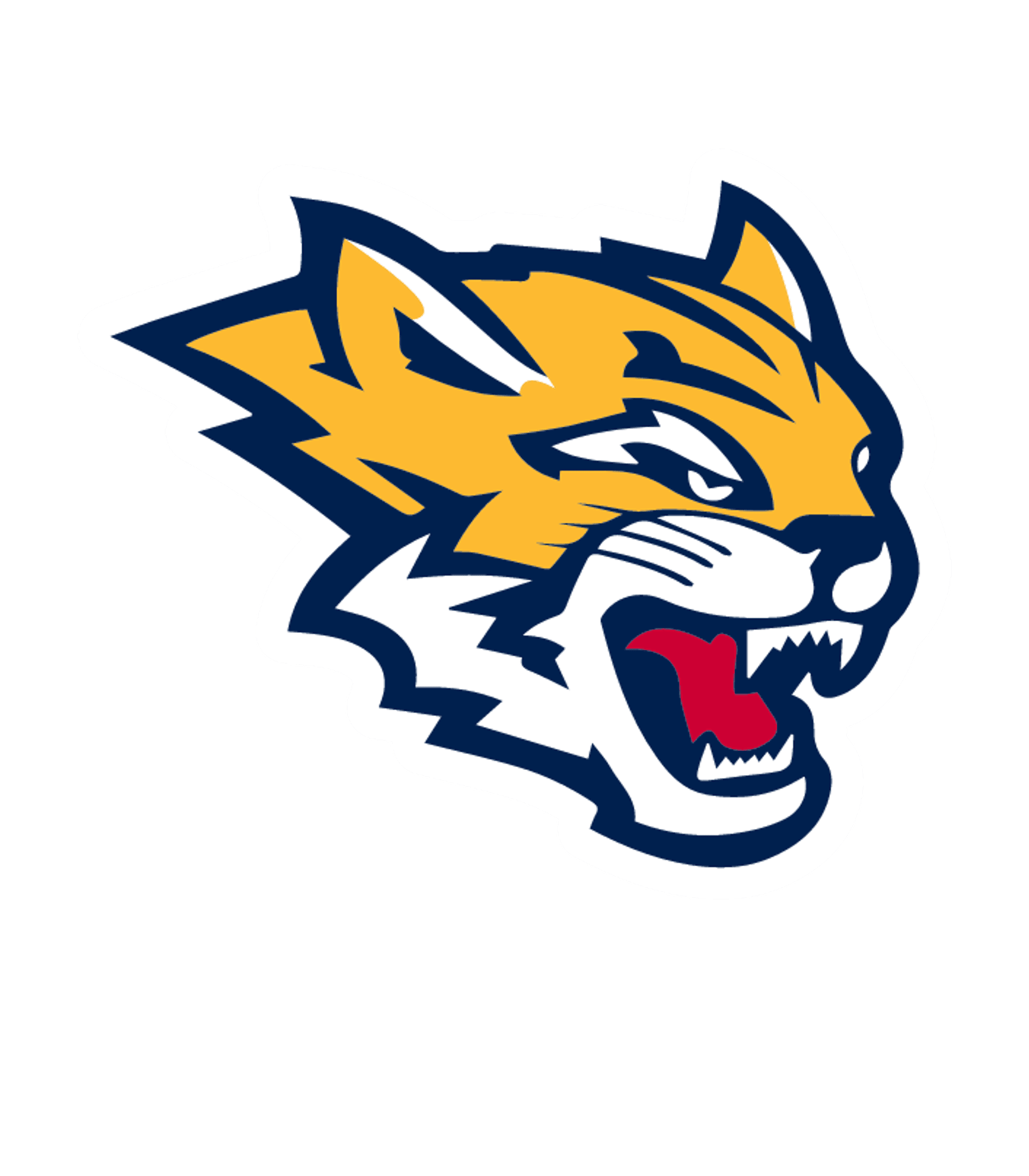 Sunnyside High Logo