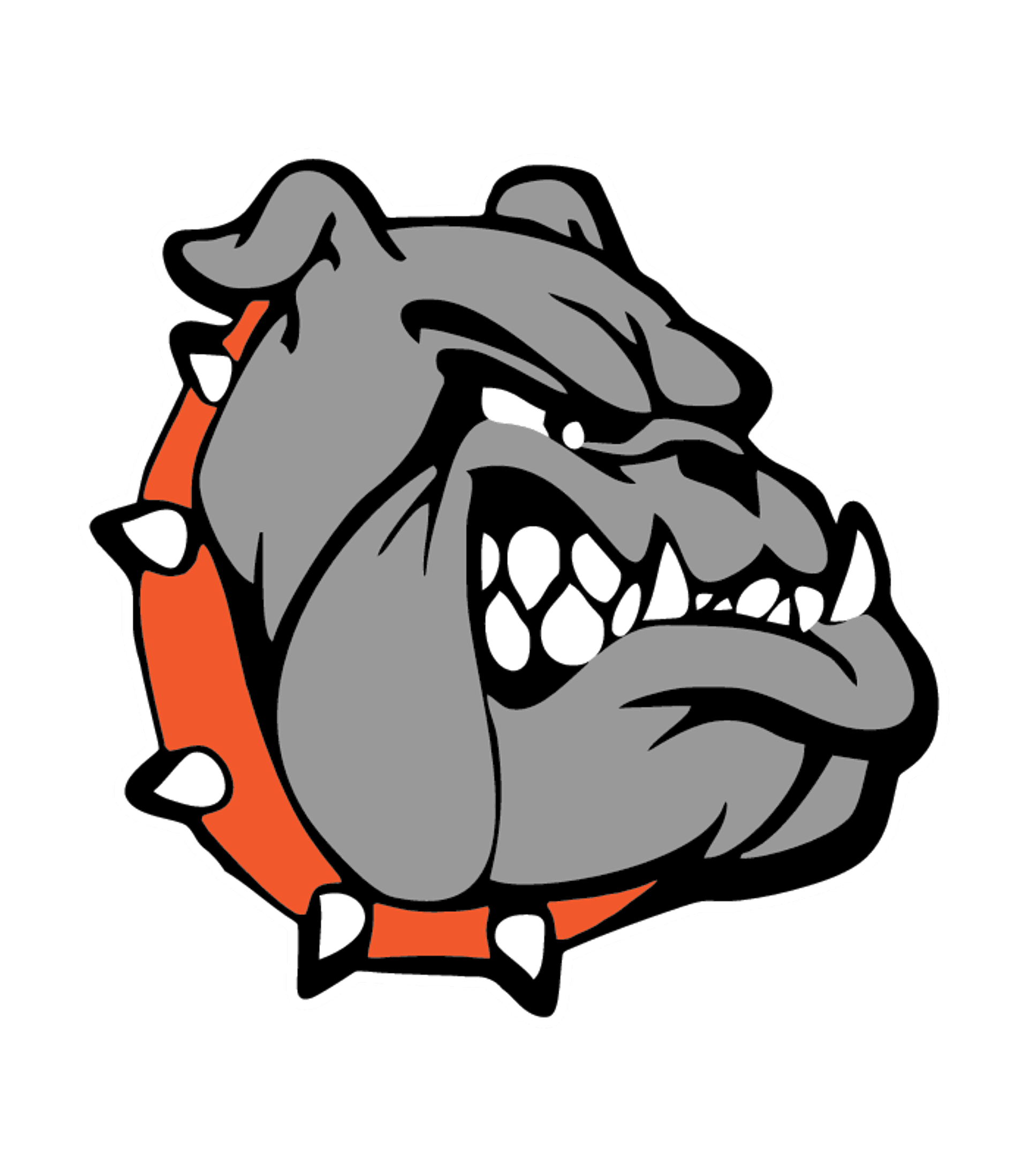 Summerfield JuniorSenior High School Logo