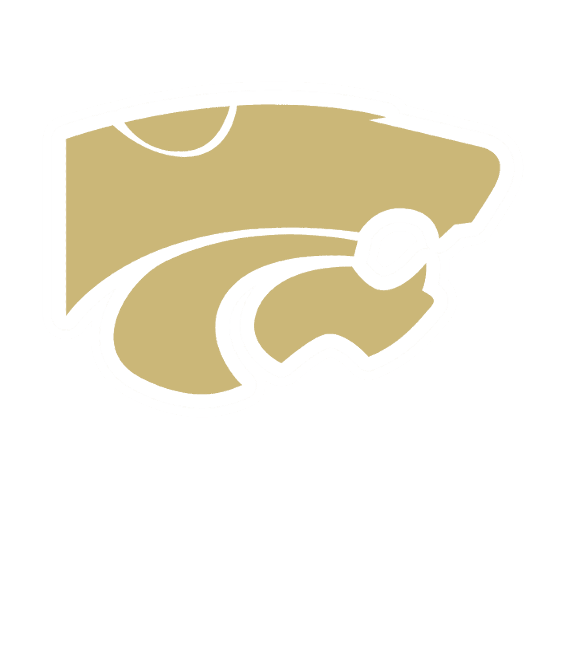 SUSQUEHANNA VALLEY SENIOR HIGH SCHOOL Logo