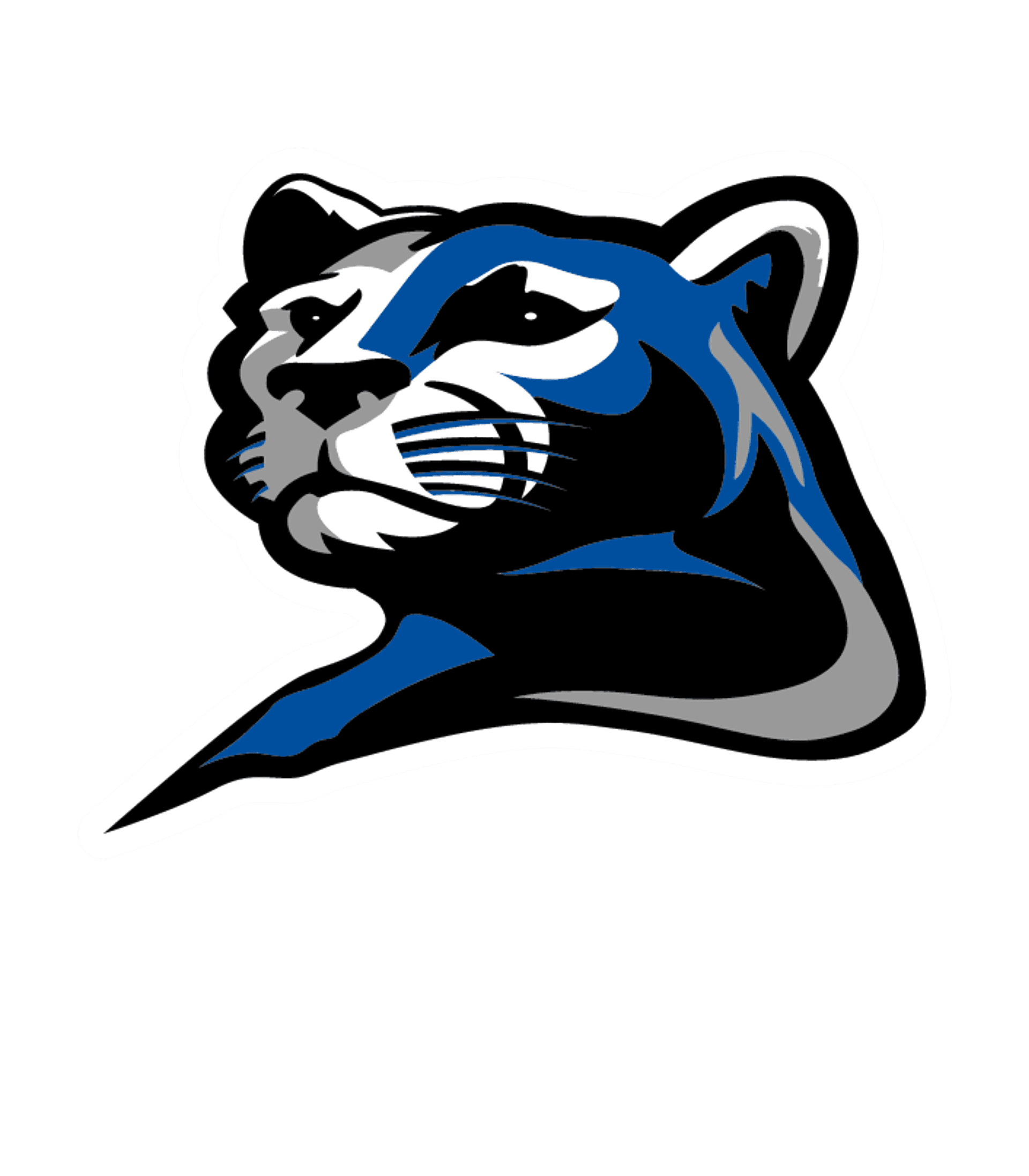 ROGERS SENIOR HIGH Logo