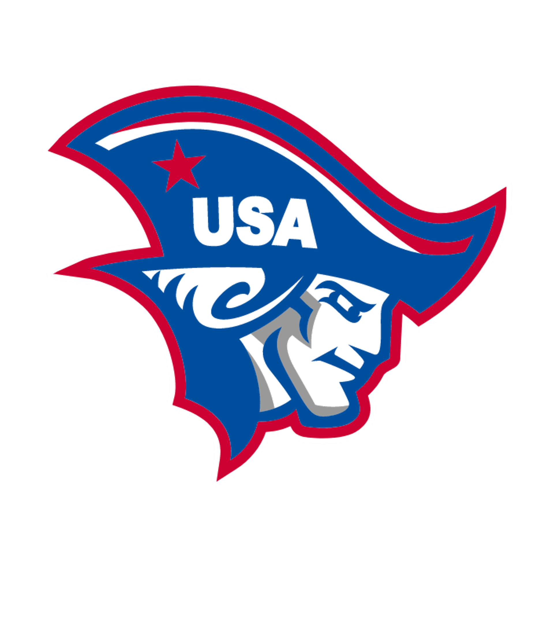 SWANVILLE SECONDARY Logo