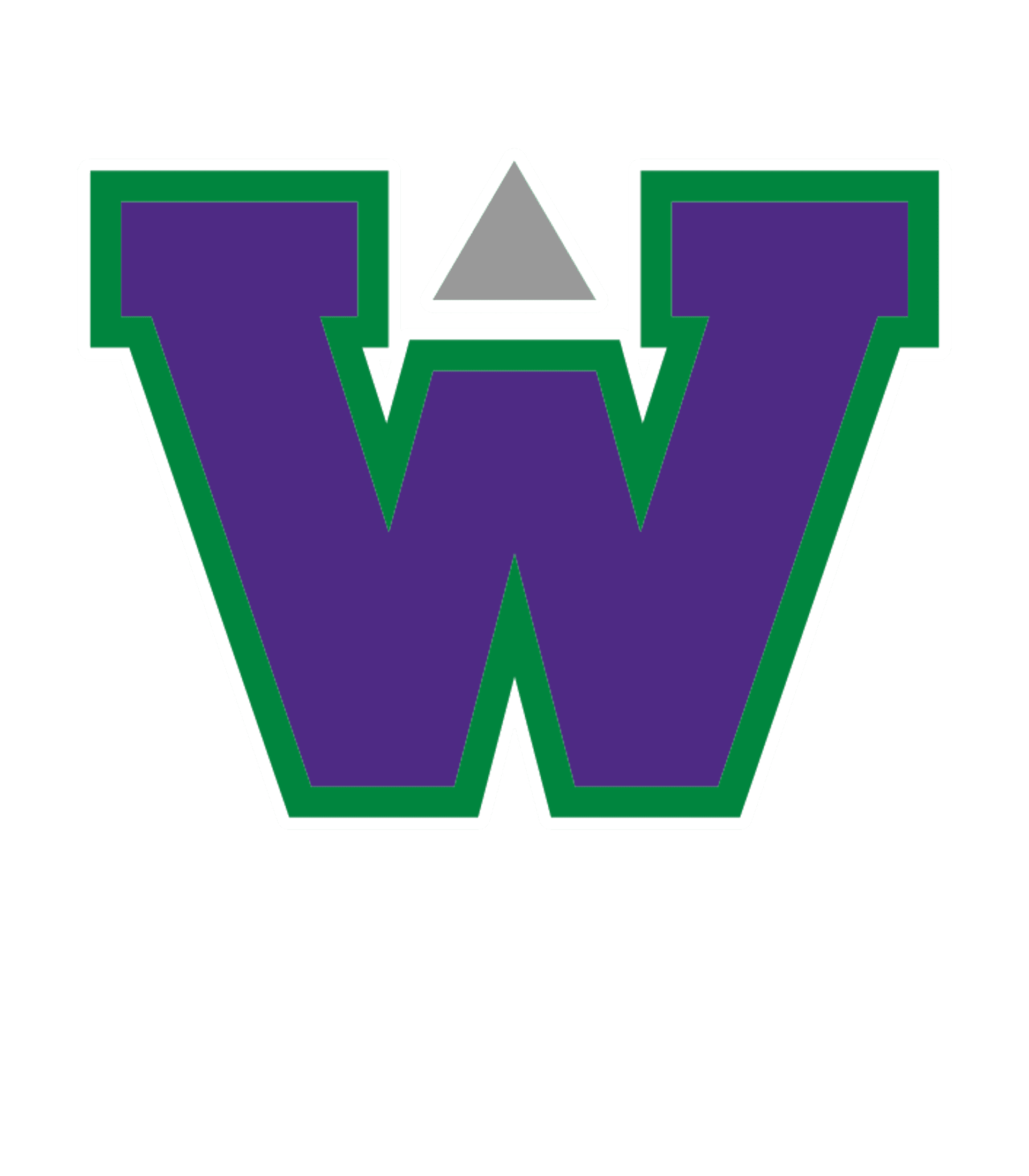 WISDOM H S Logo