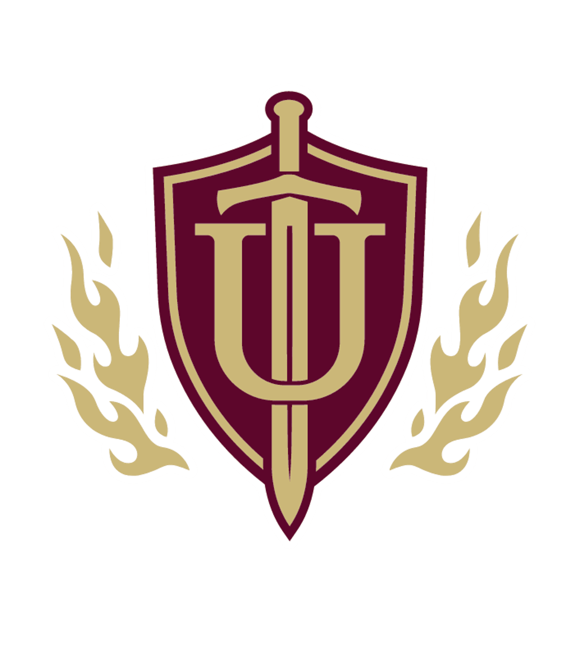 Wells Community Academy HS Logo