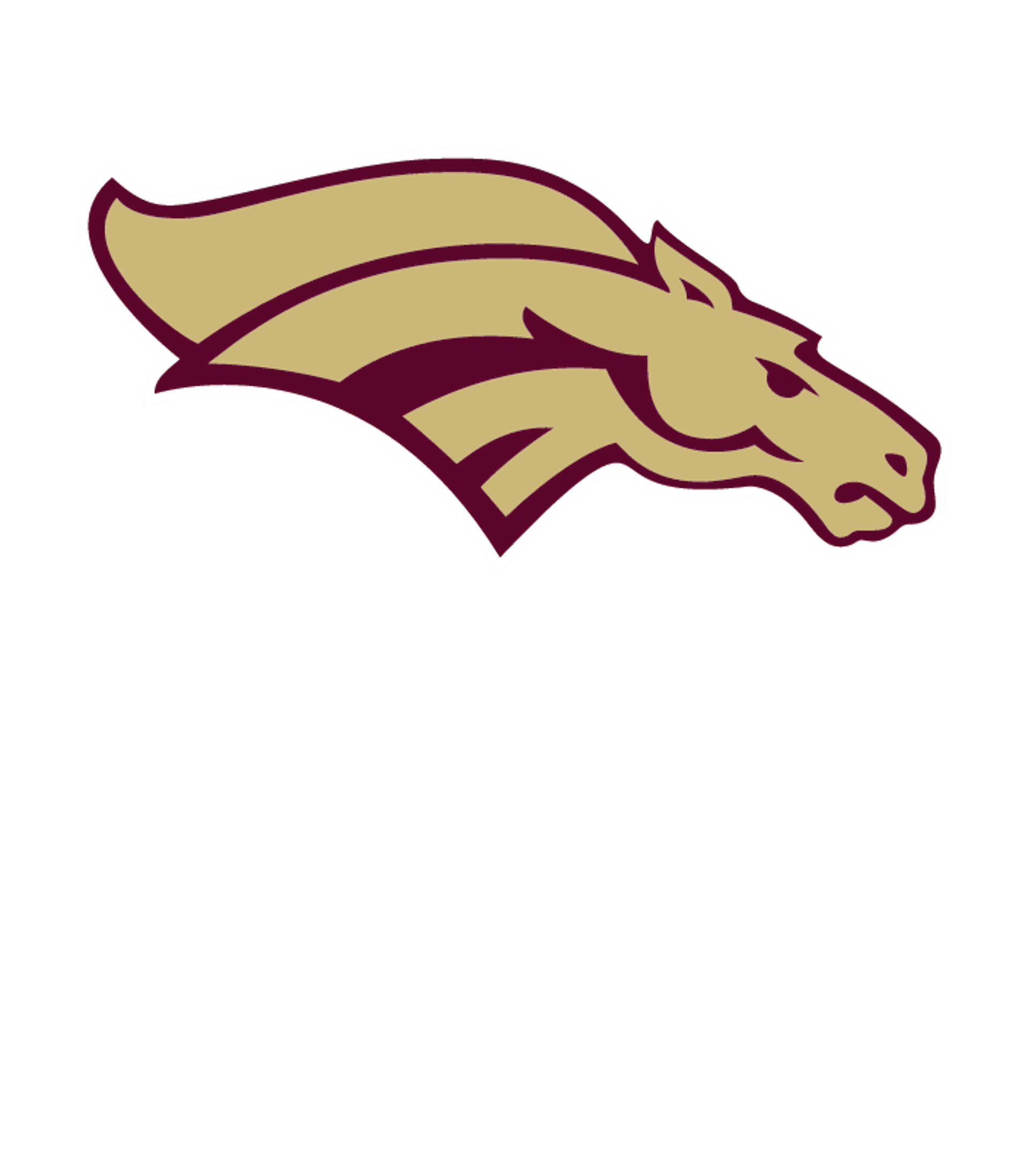WEKIVA HIGH Logo