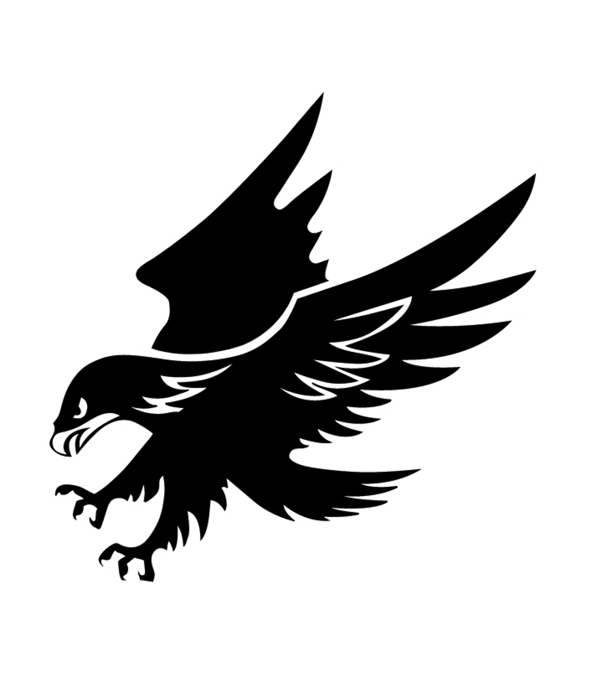 VOLCANO VISTA HIGH Logo