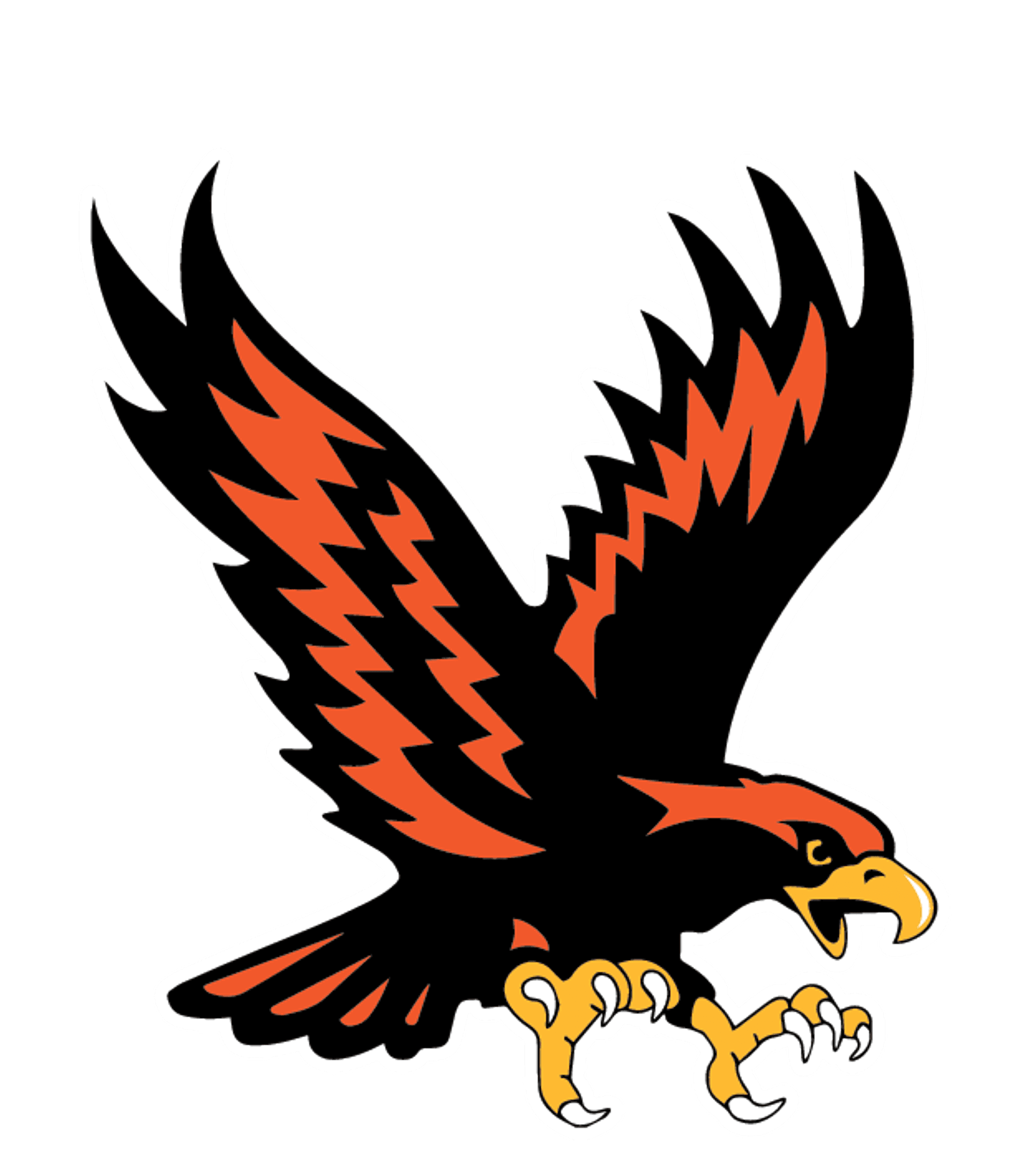 Somerset Area Jr-Sr HS Logo