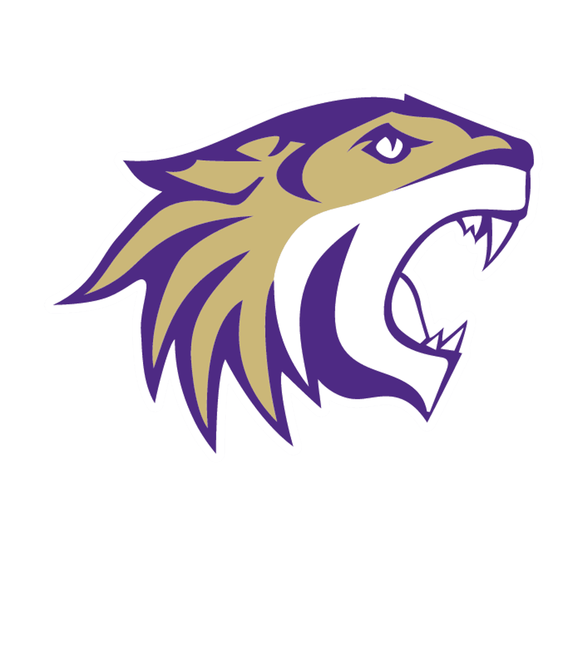 Tokay High Logo