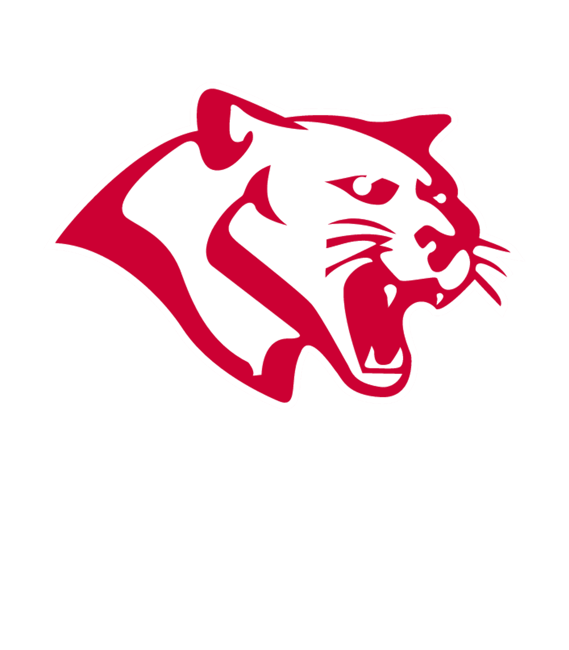 TOMBALL MEMORIAL H S Logo
