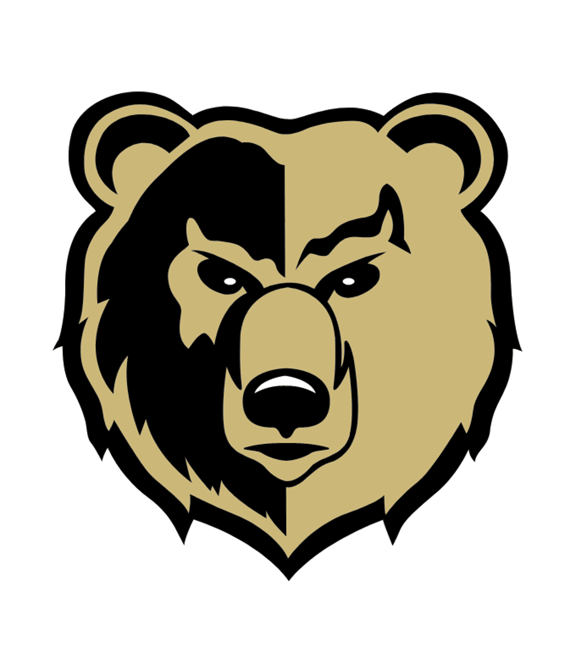Shelbyville Sr High School Logo