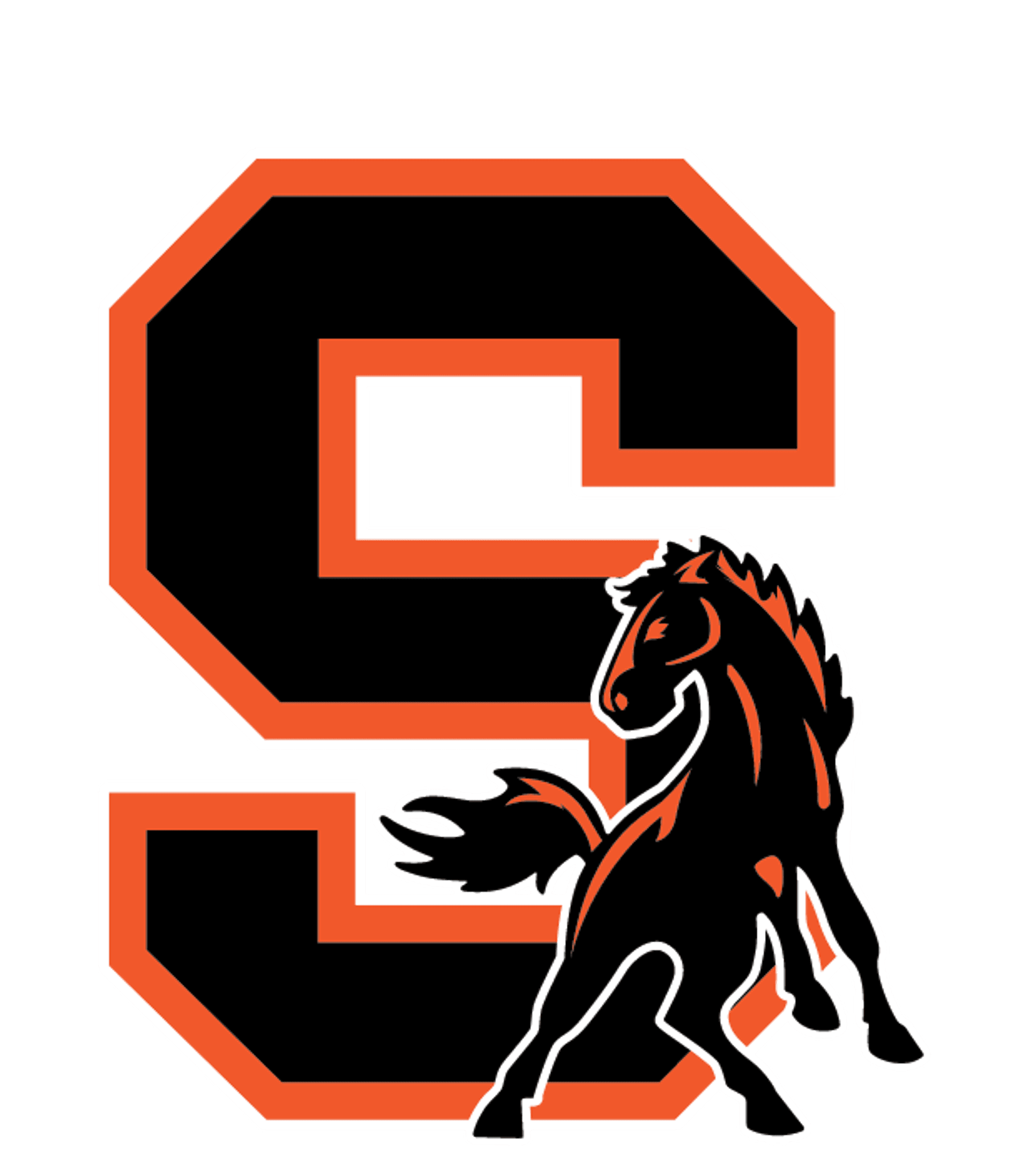 SCHUYLERVILLE HIGH SCHOOL Logo