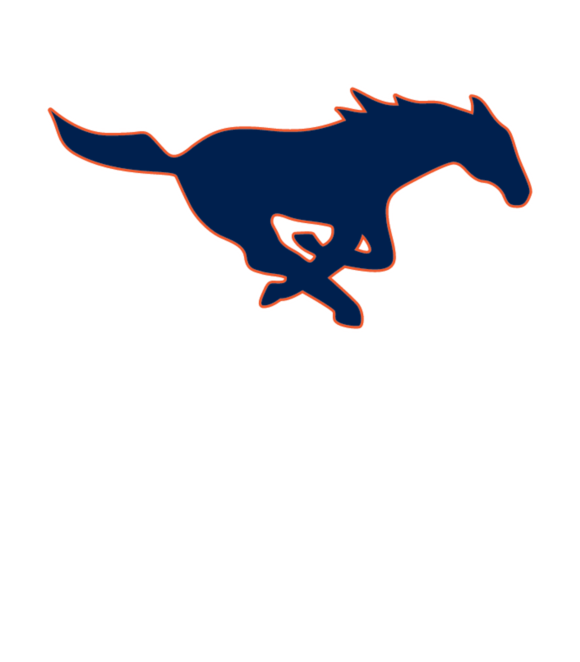 SACHSE H S Logo