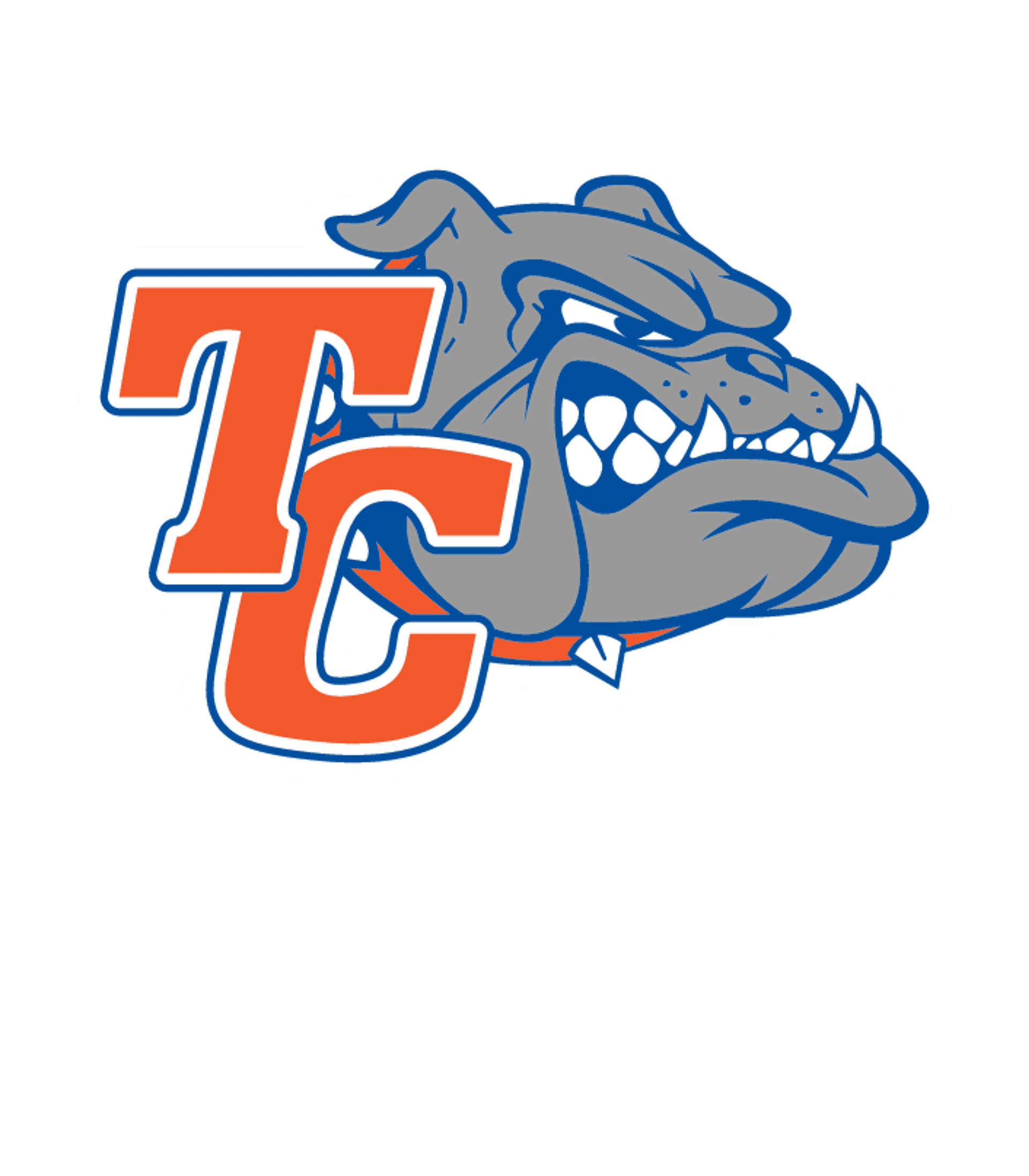TAYLOR PAEC VIRTUAL FRANCHISE Logo