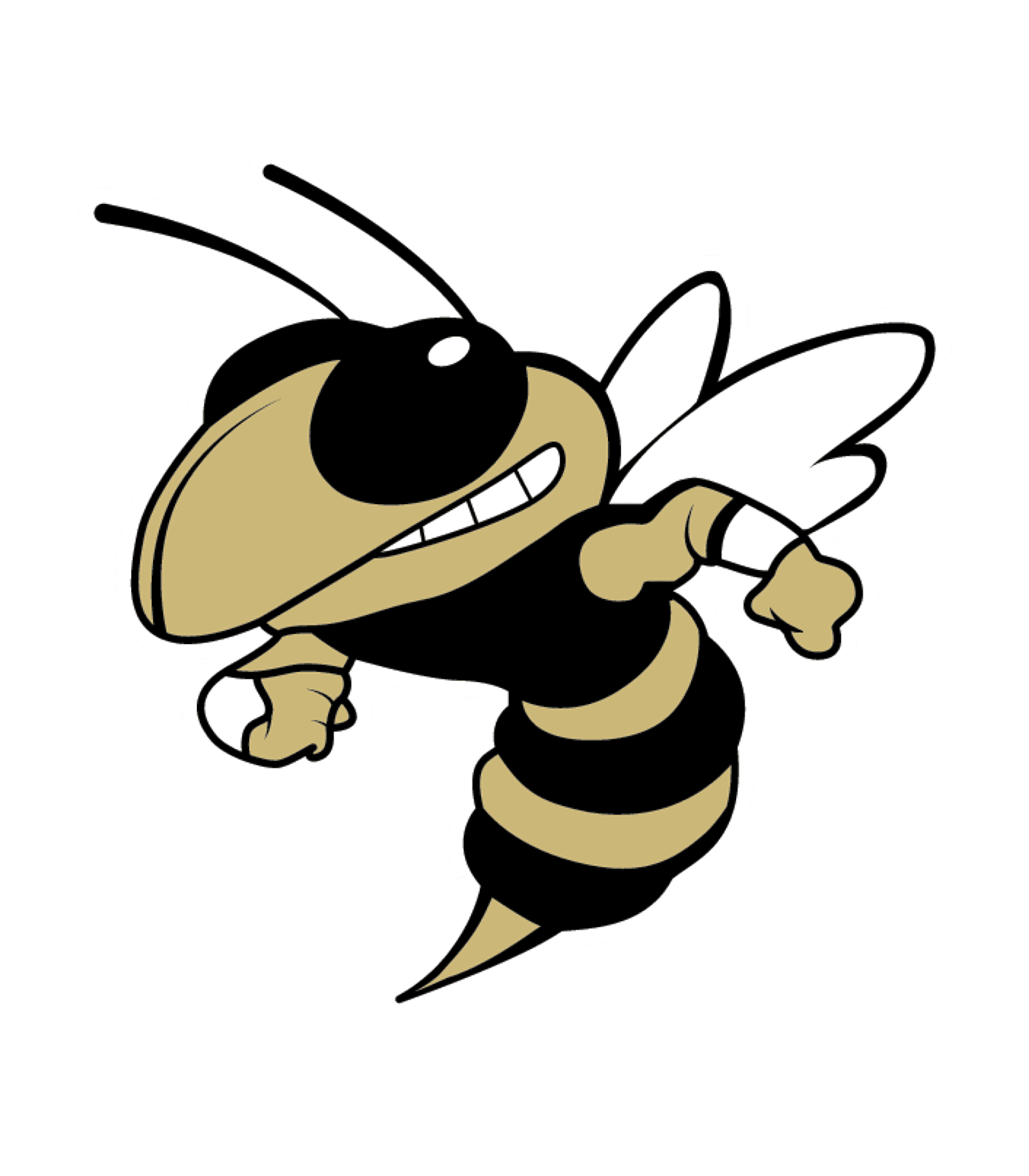 T. L. Hanna High Logo