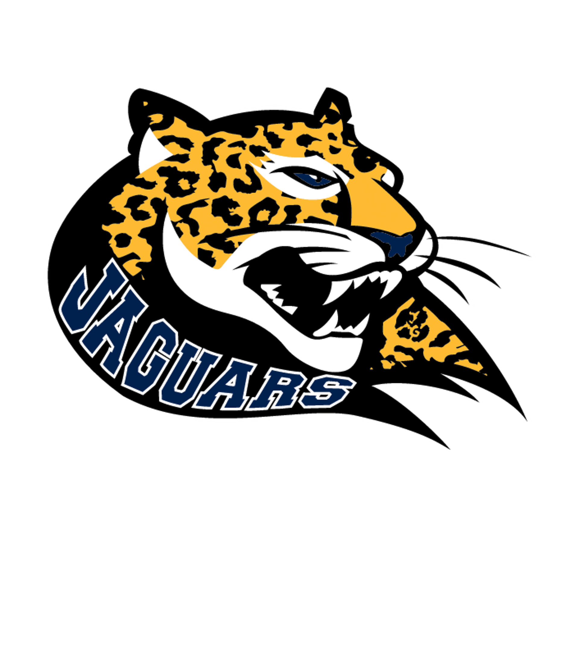 Somerset Secondary Academy Logo