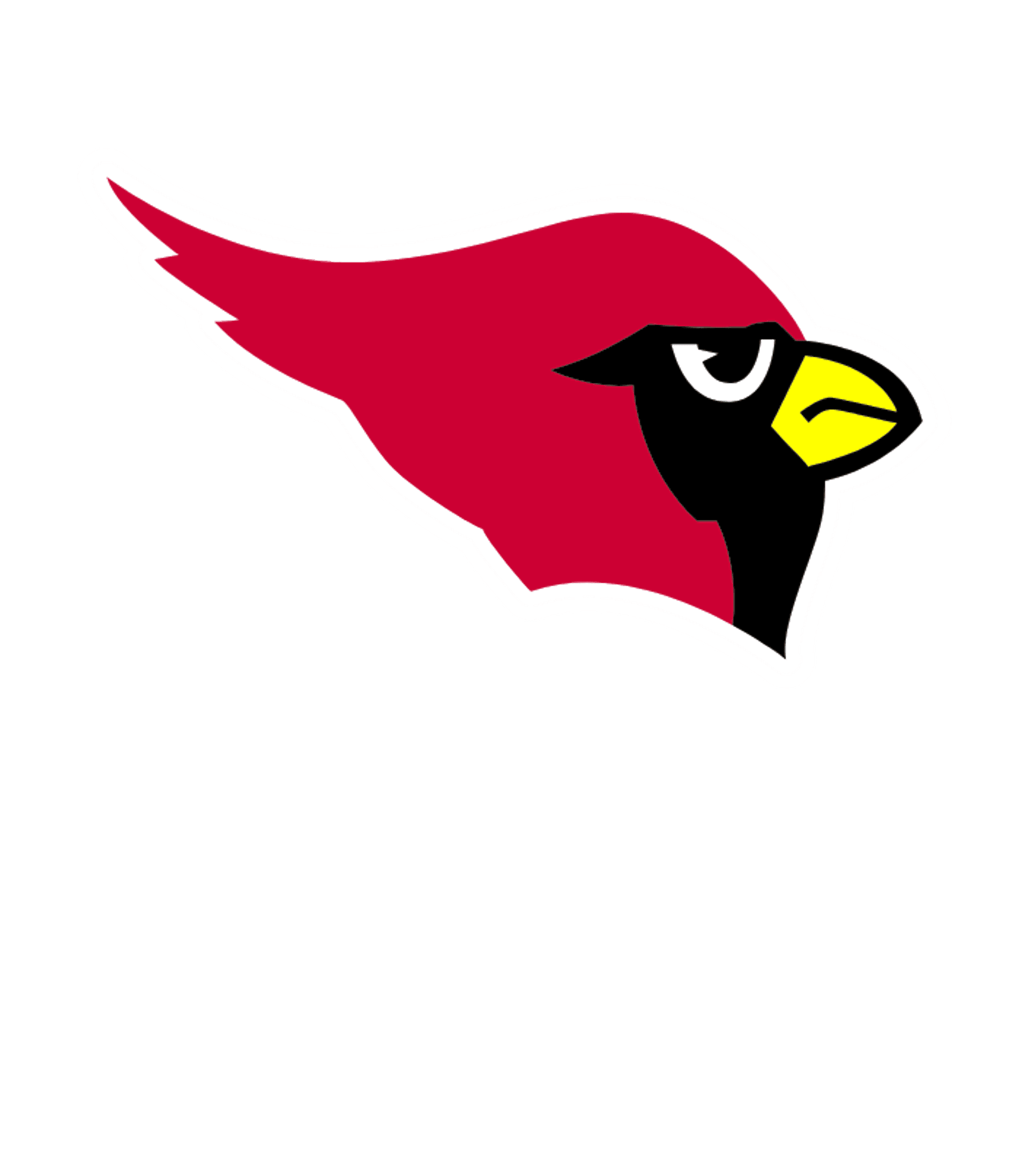TIPTON HIGH Logo