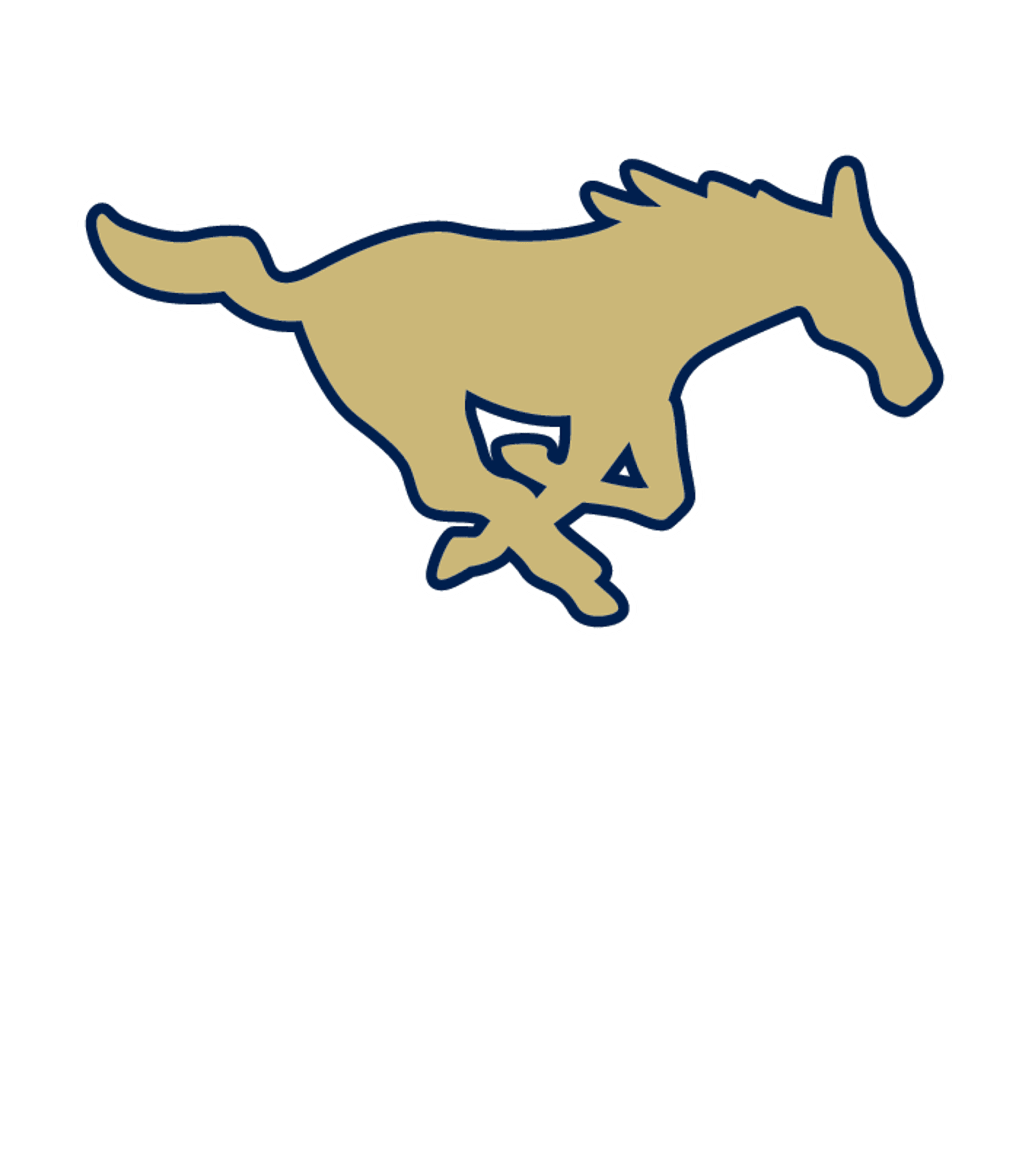 Southeast Fountain Virtual Academy Logo
